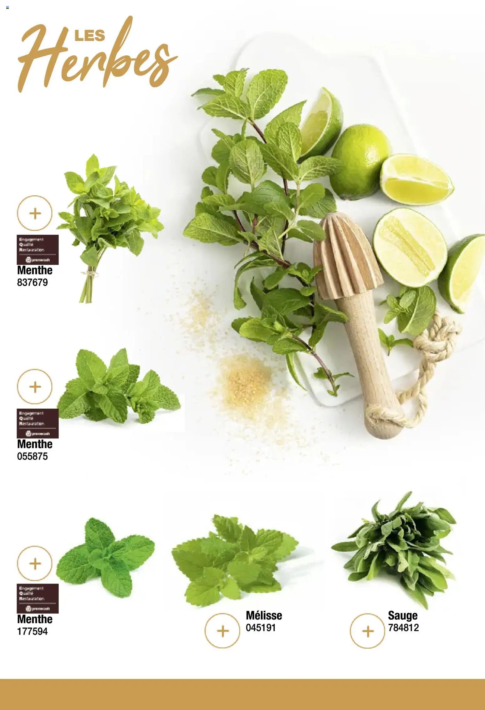 Promocash Carte spiritueux (2025-11-19 - 2025-12-31)