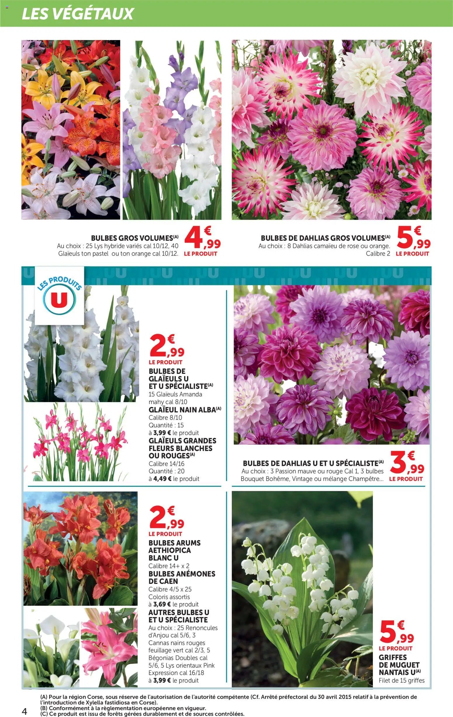 bi1 catalogue le jardin 