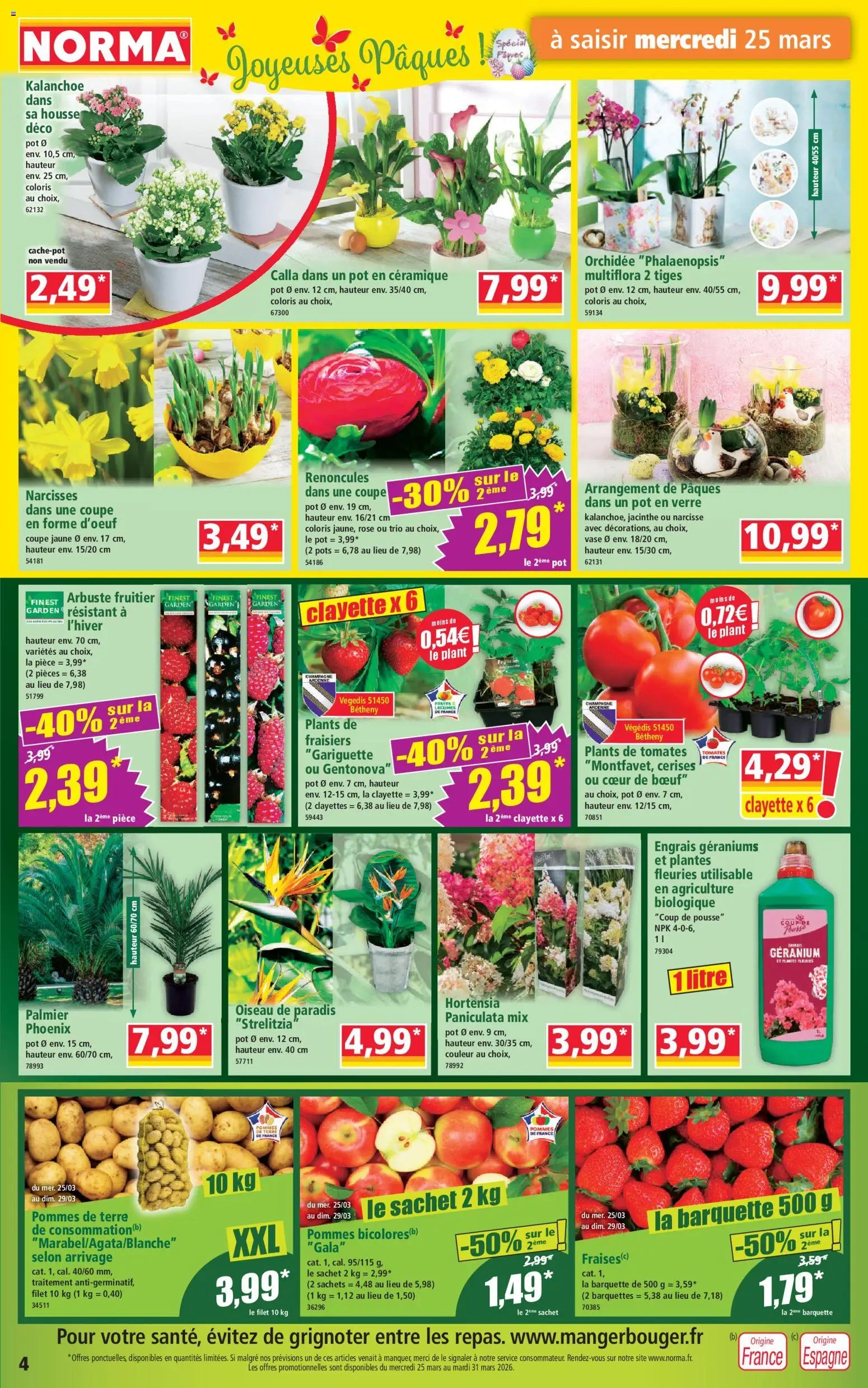 Norma catalogue (2026-03-25 - 2026-03-31)