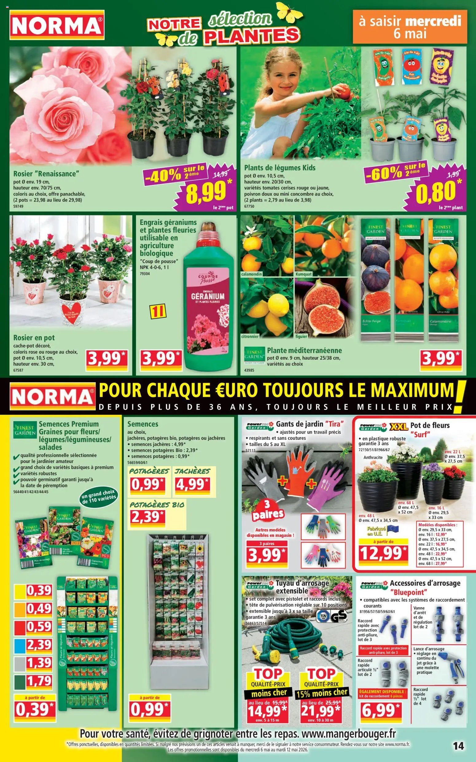 Norma catalogue