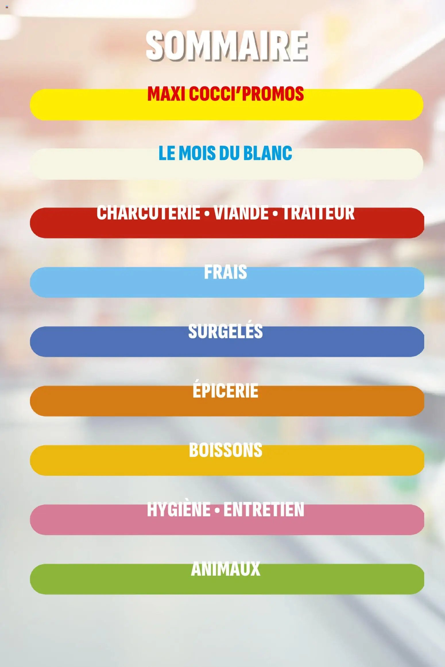 Coccinelle catalogue (2026-01-02 - 2026-01-11)