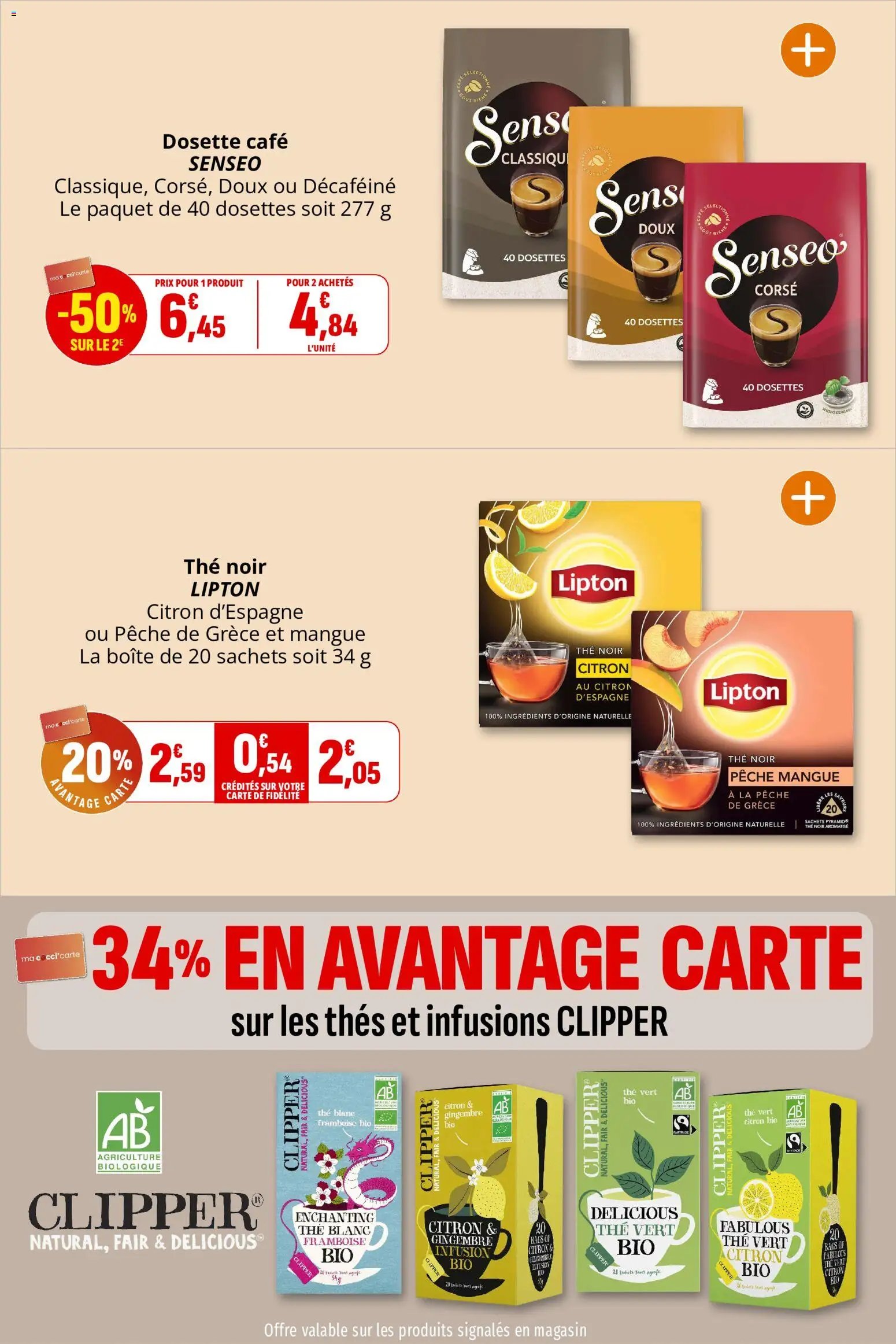 Coccinelle catalogue
