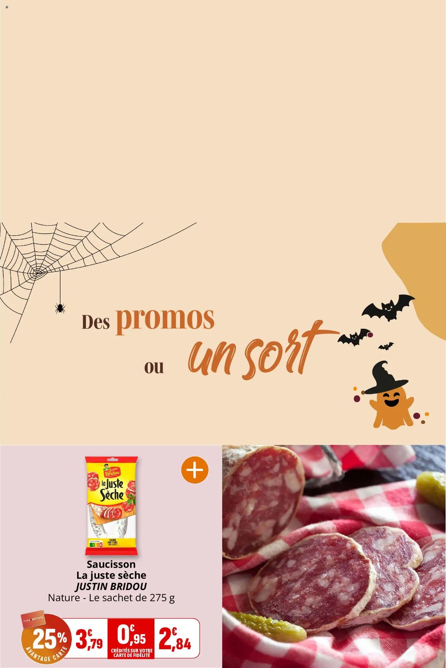 Coccinelle catalogue