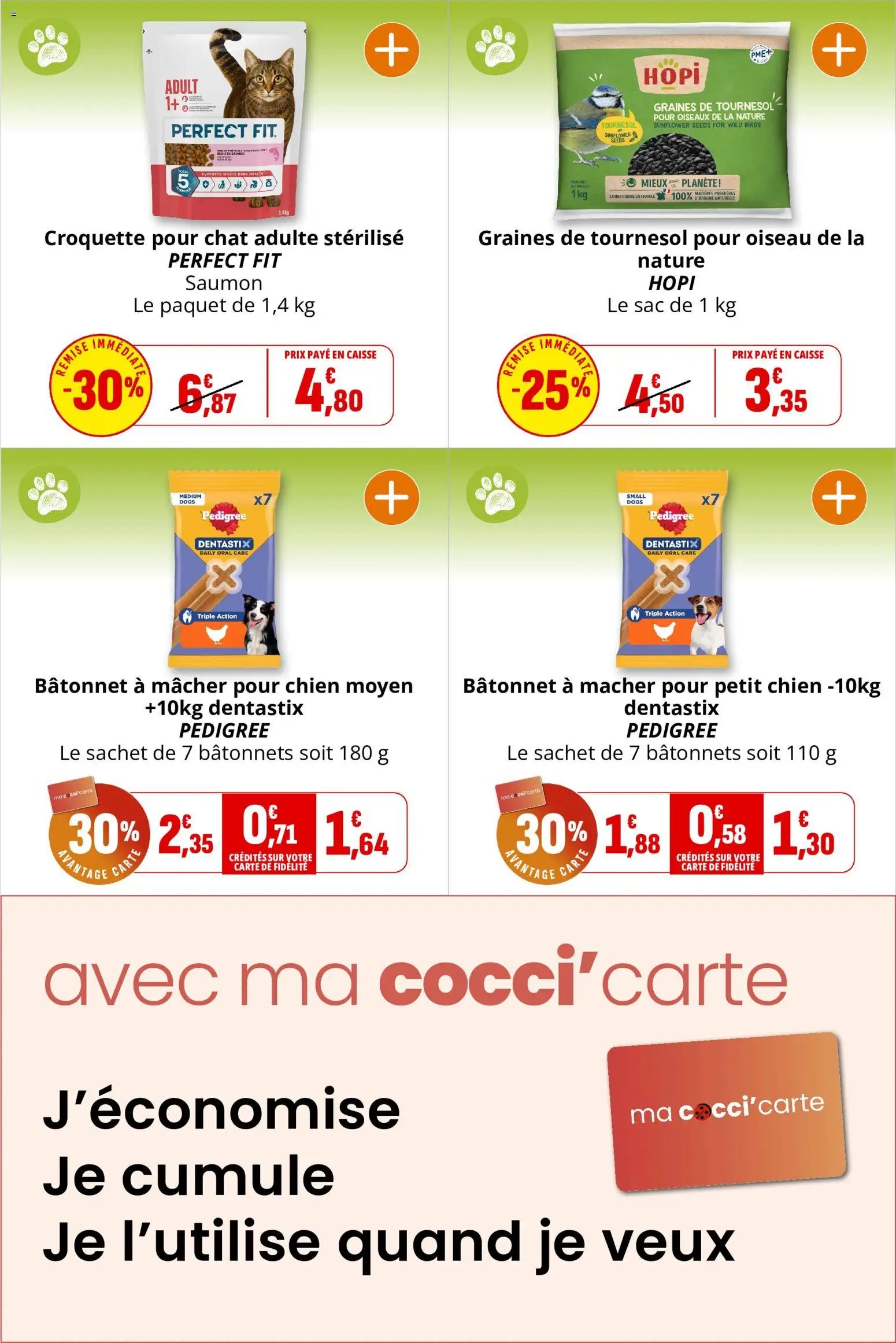 Coccinelle catalogue