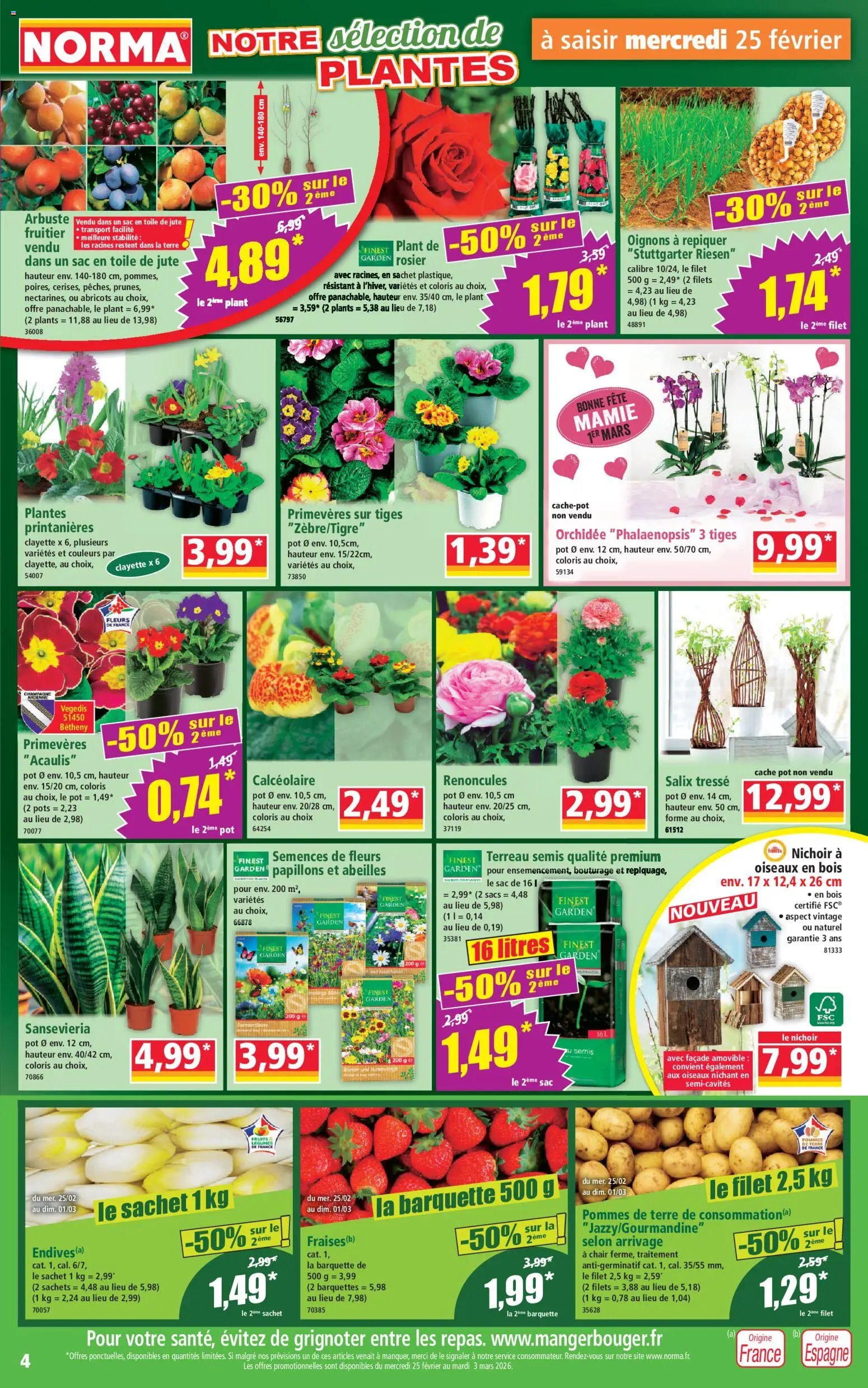 Norma catalogue (2026-02-25 - 2026-03-03)