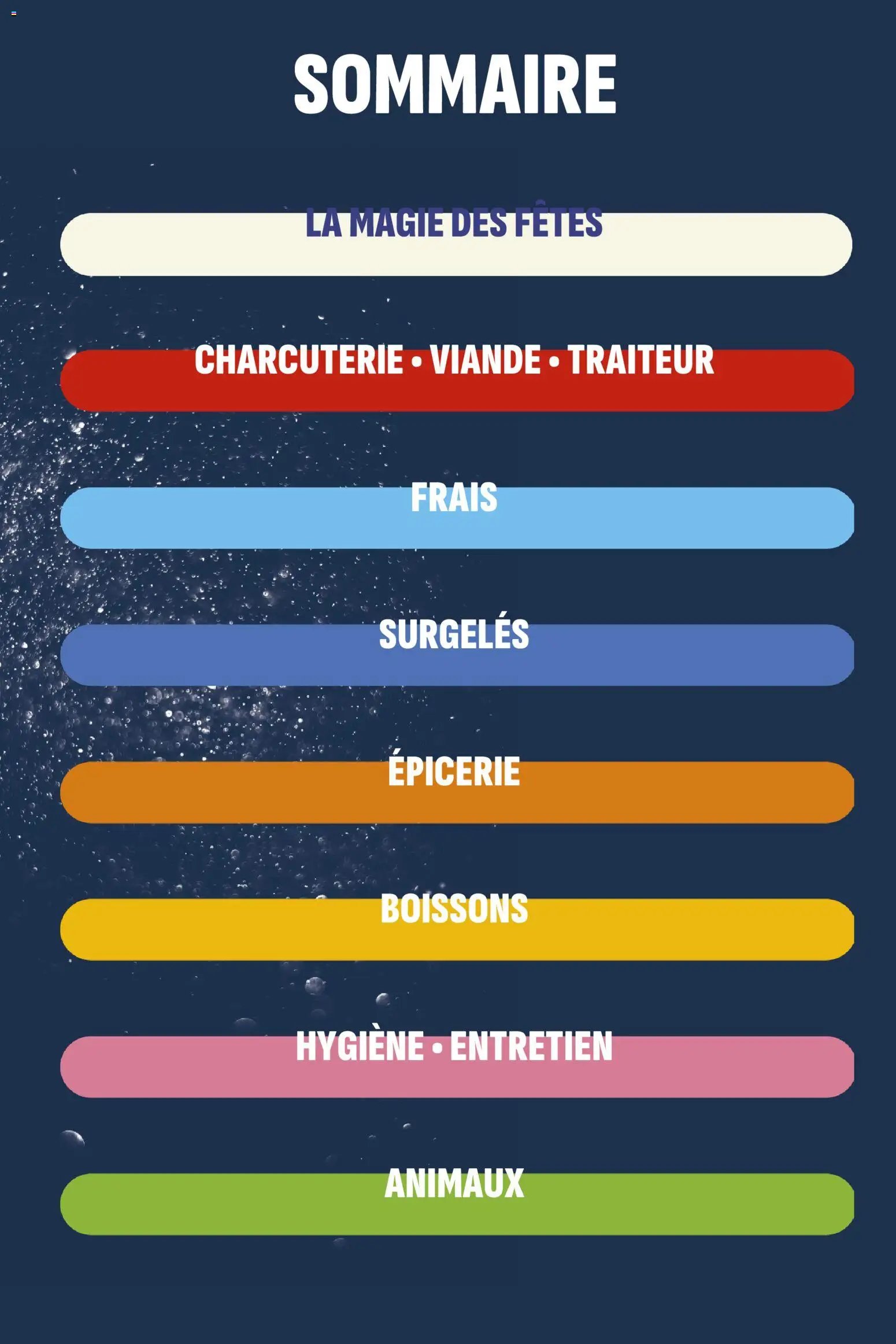 Coccinelle - Express