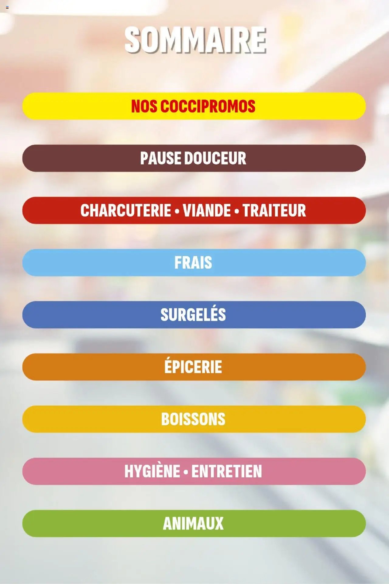 Coccinelle - Express (2025-09-24 - 2025-10-05)