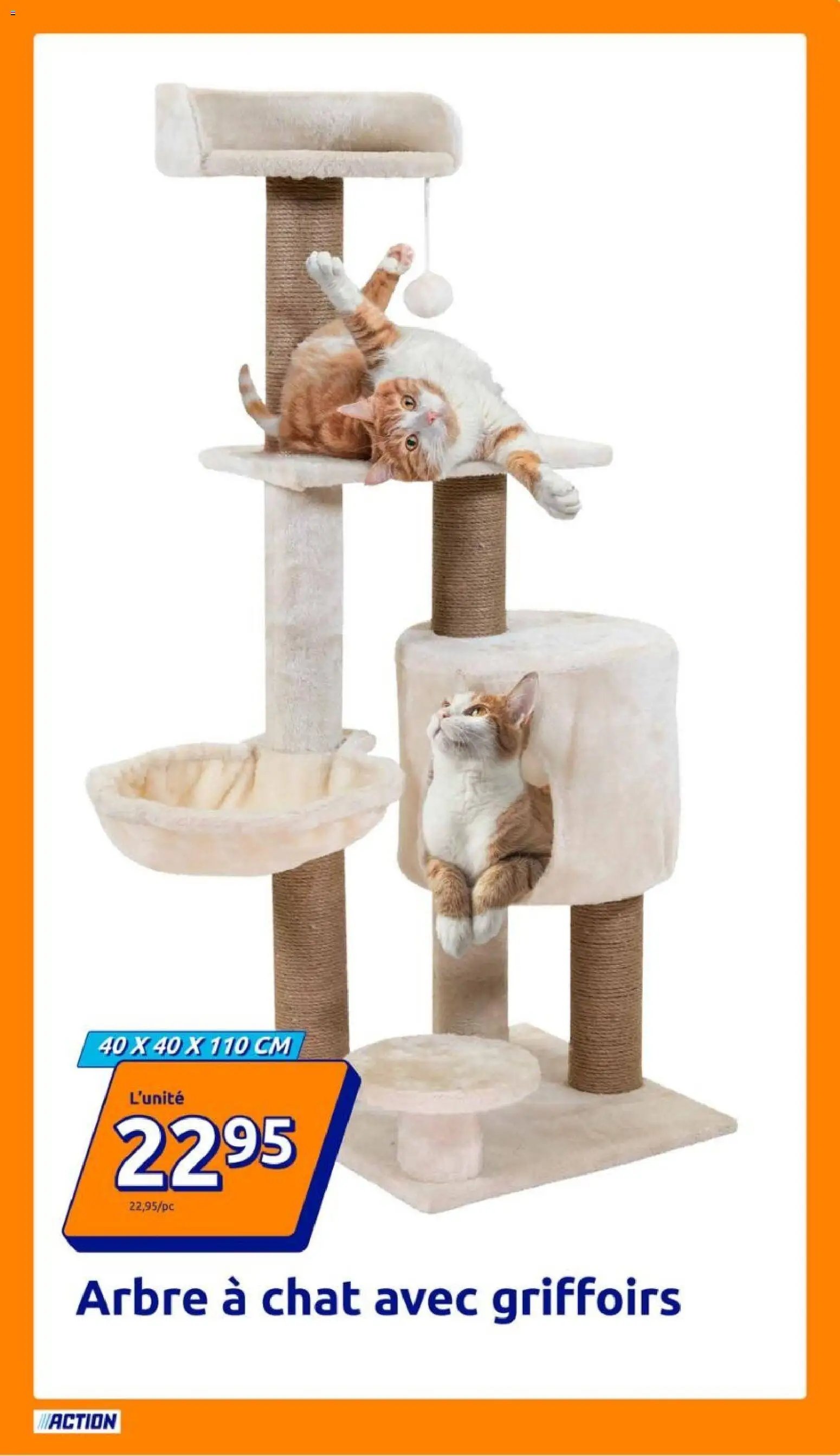 Action catalogue de la semaine 46