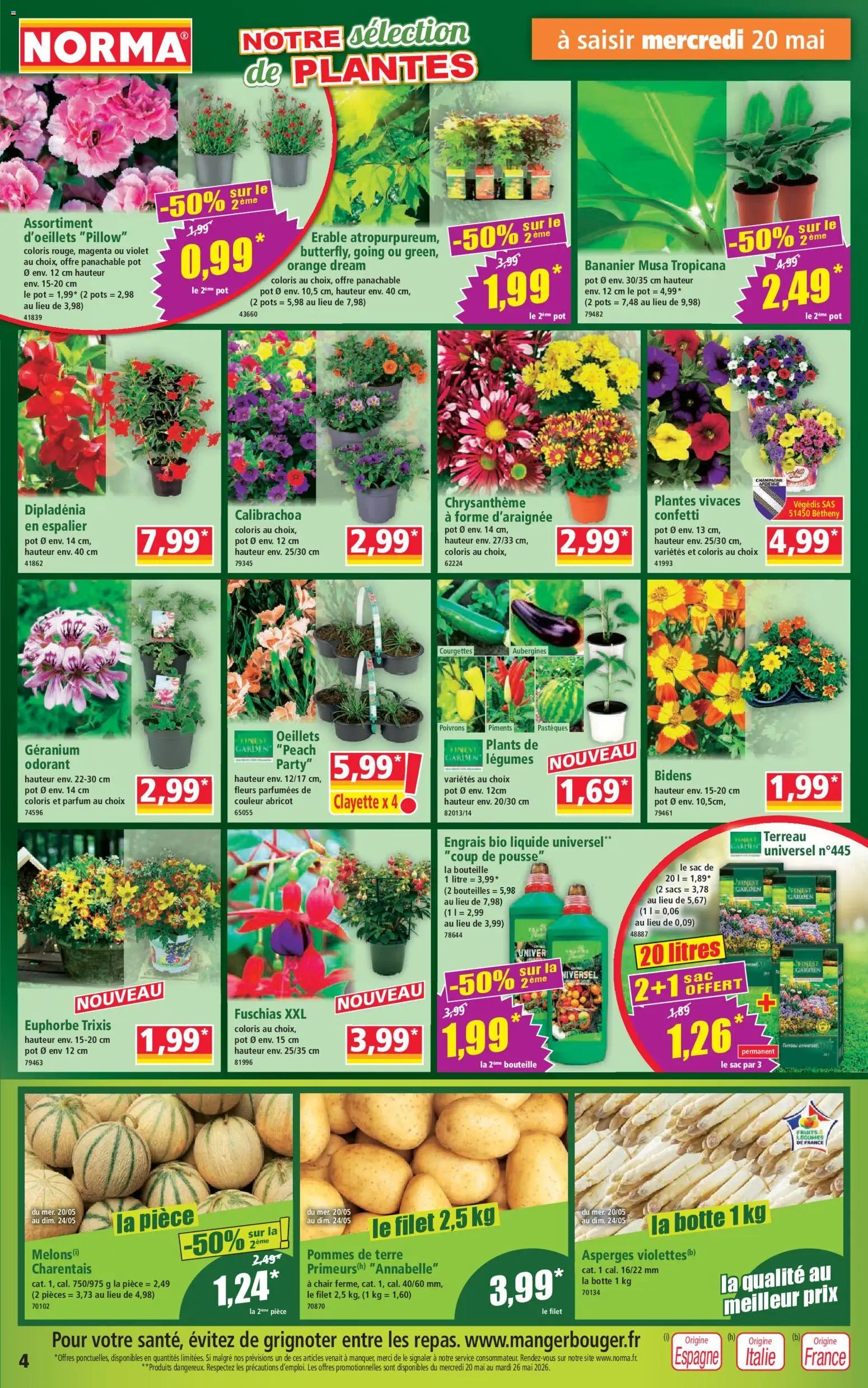 Norma catalogue