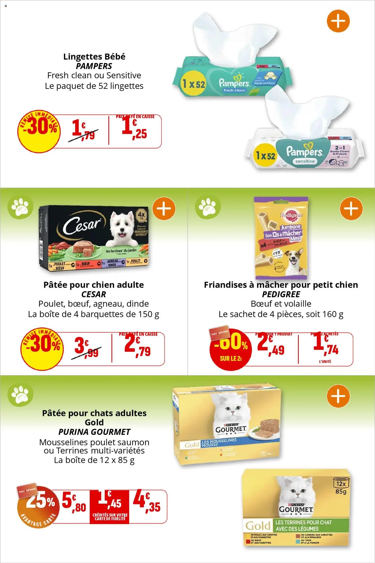 Coccinelle catalogue