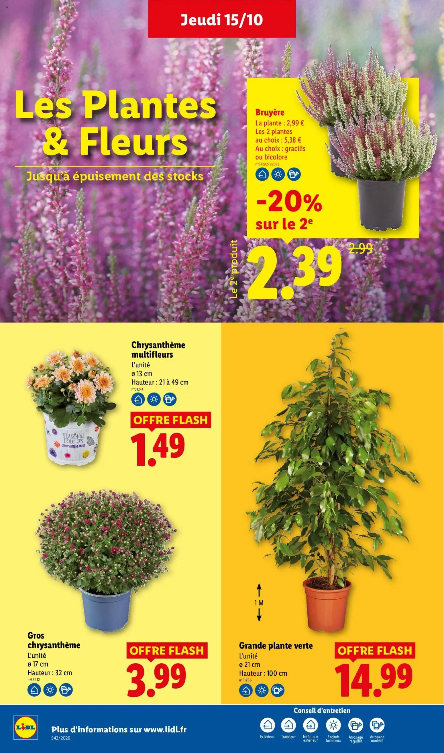 LIDL catalogue
