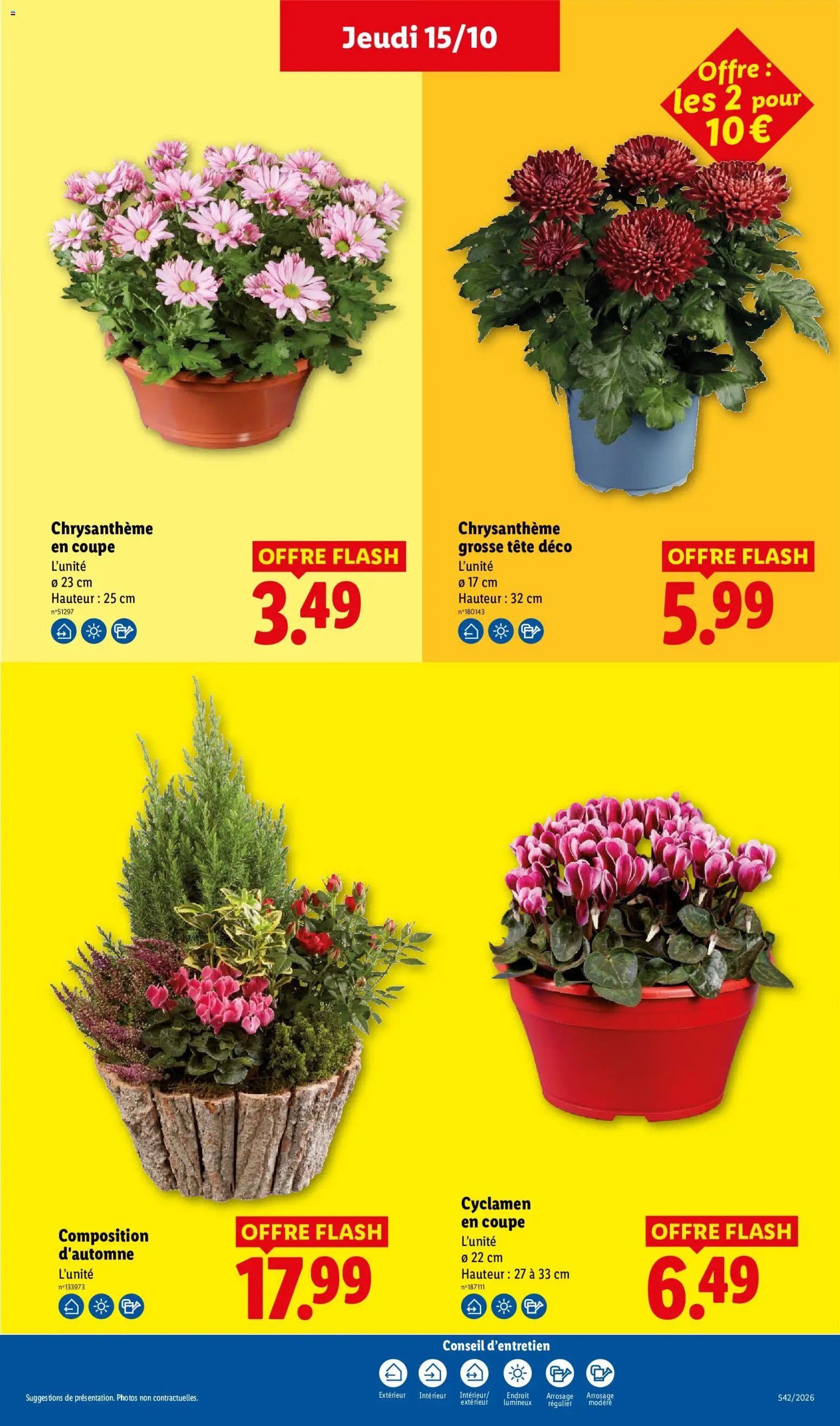 LIDL catalogue