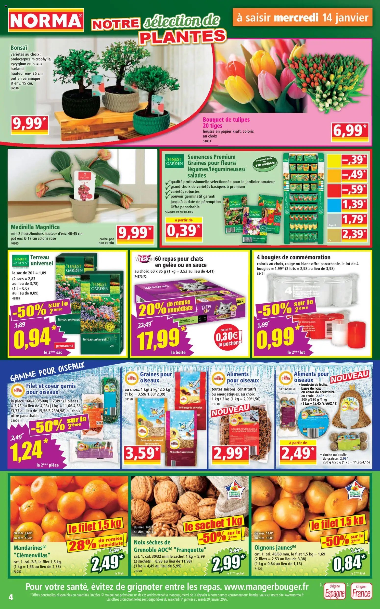 Norma catalogue (2026-01-14 - 2026-01-22)