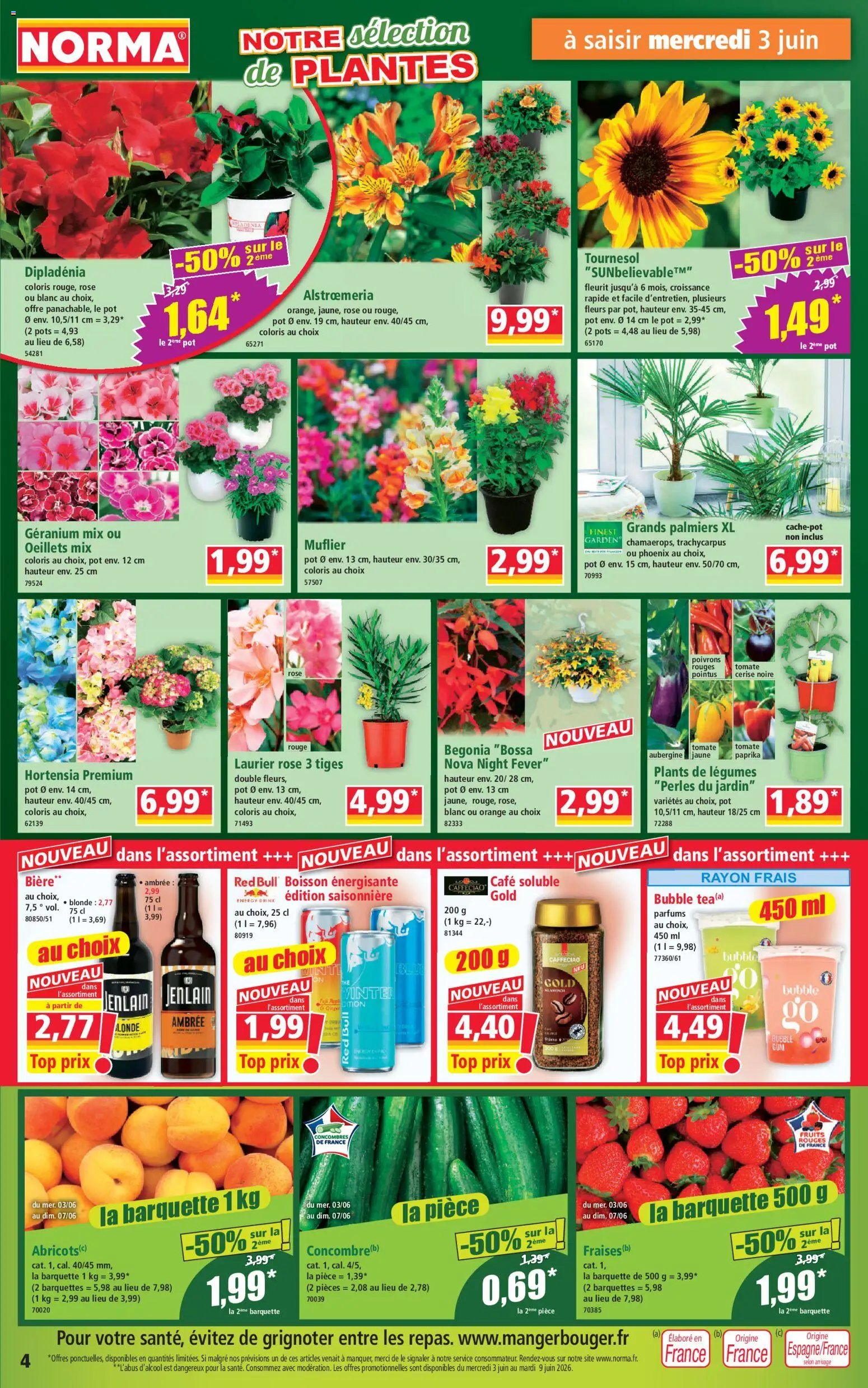 Norma catalogue (2026-06-03 - 2026-06-09)