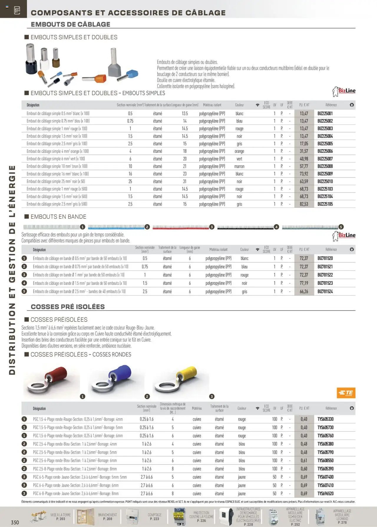 Rexel Distribution et Gestion de l'Energie (2024-12-01 - 2025-12-31)