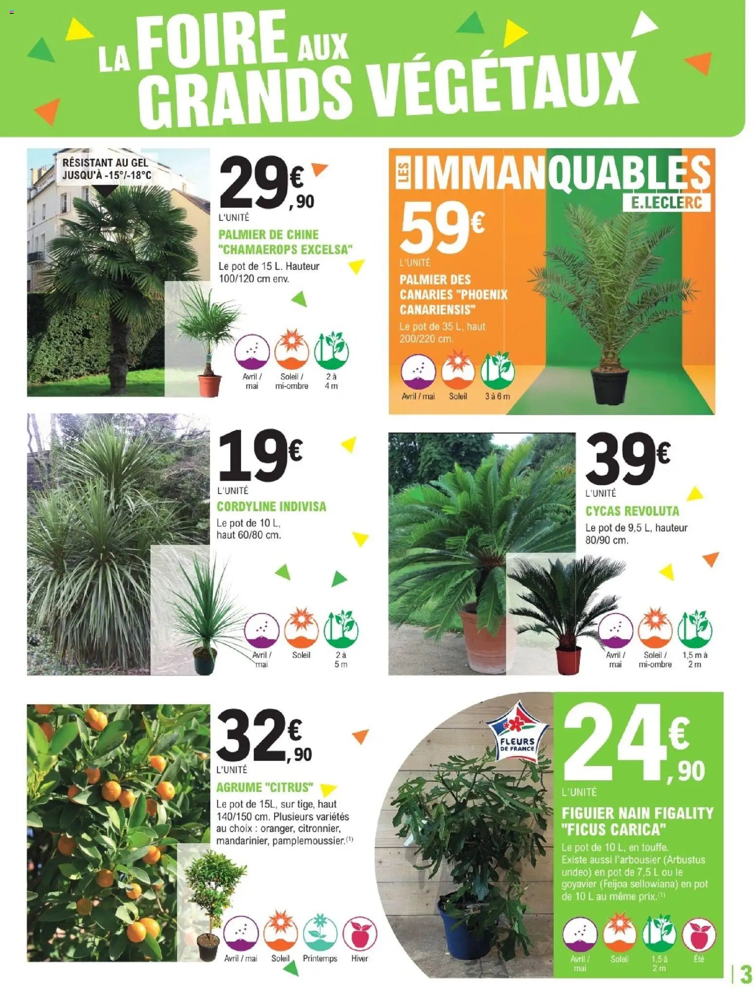 Brico E.Leclerc - Trafic jardi printemps 3 - grands vegetaux