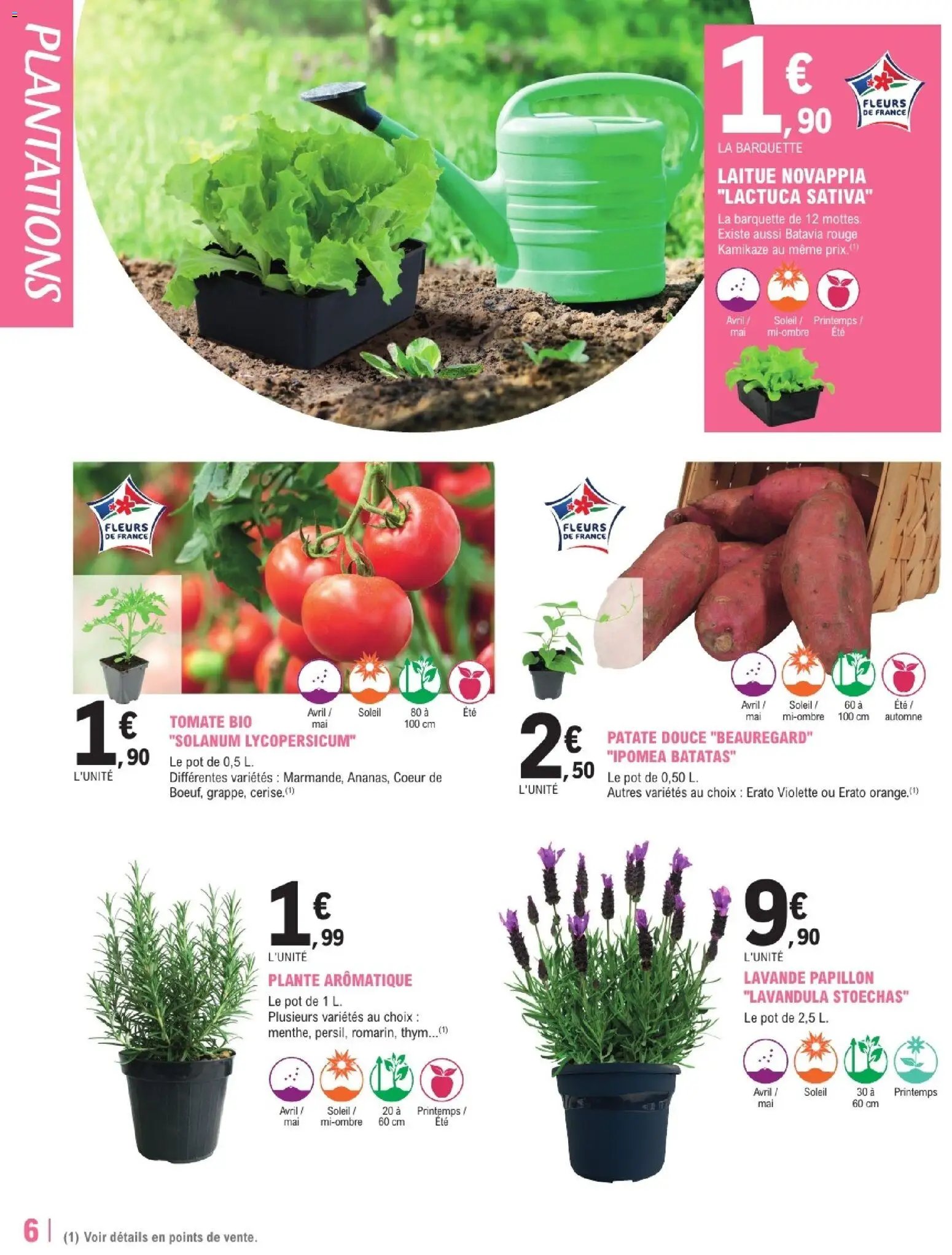 Brico E.Leclerc - Trafic jardi printemps 3 - grands vegetaux