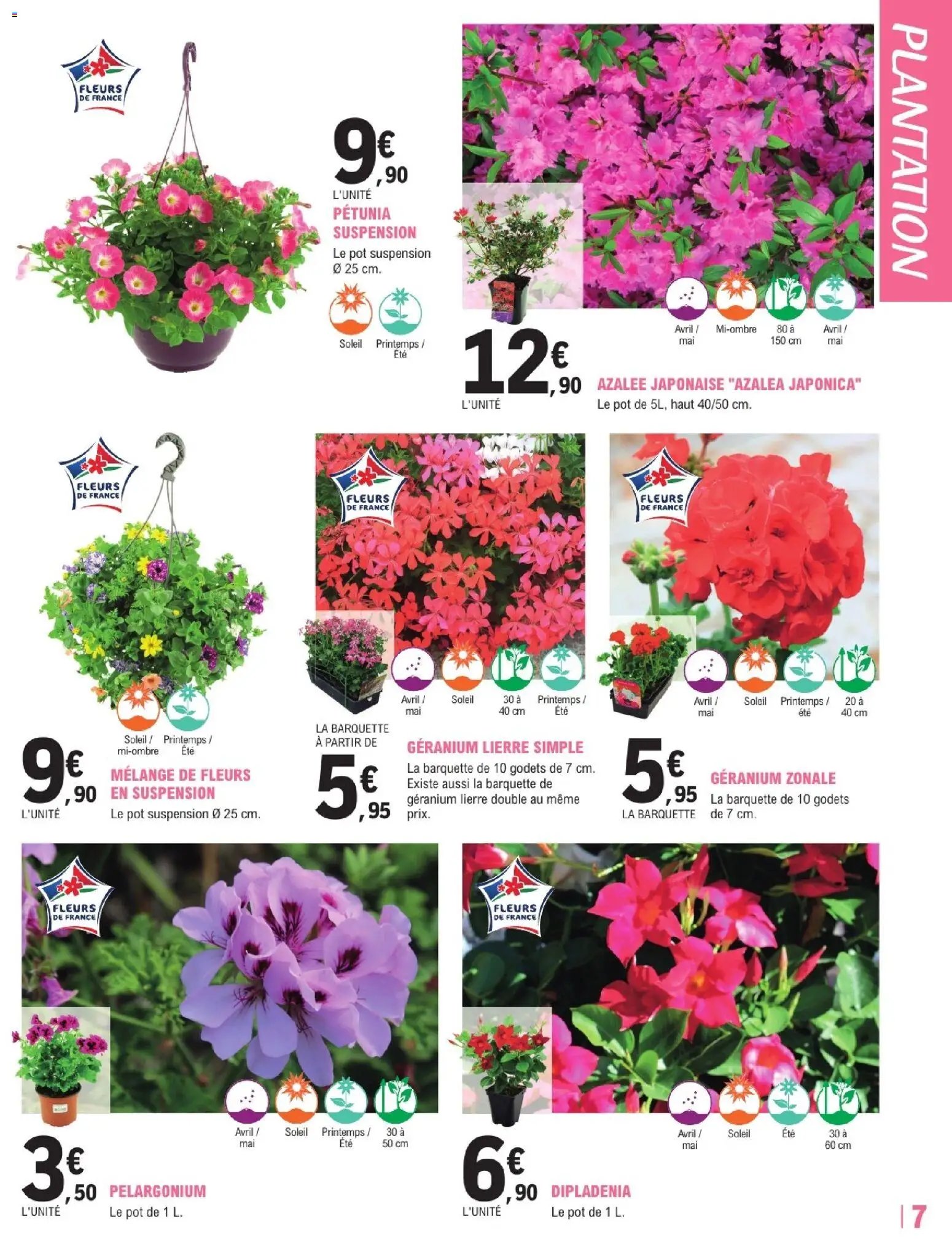 Brico E.Leclerc - Trafic jardi printemps 3 - grands vegetaux