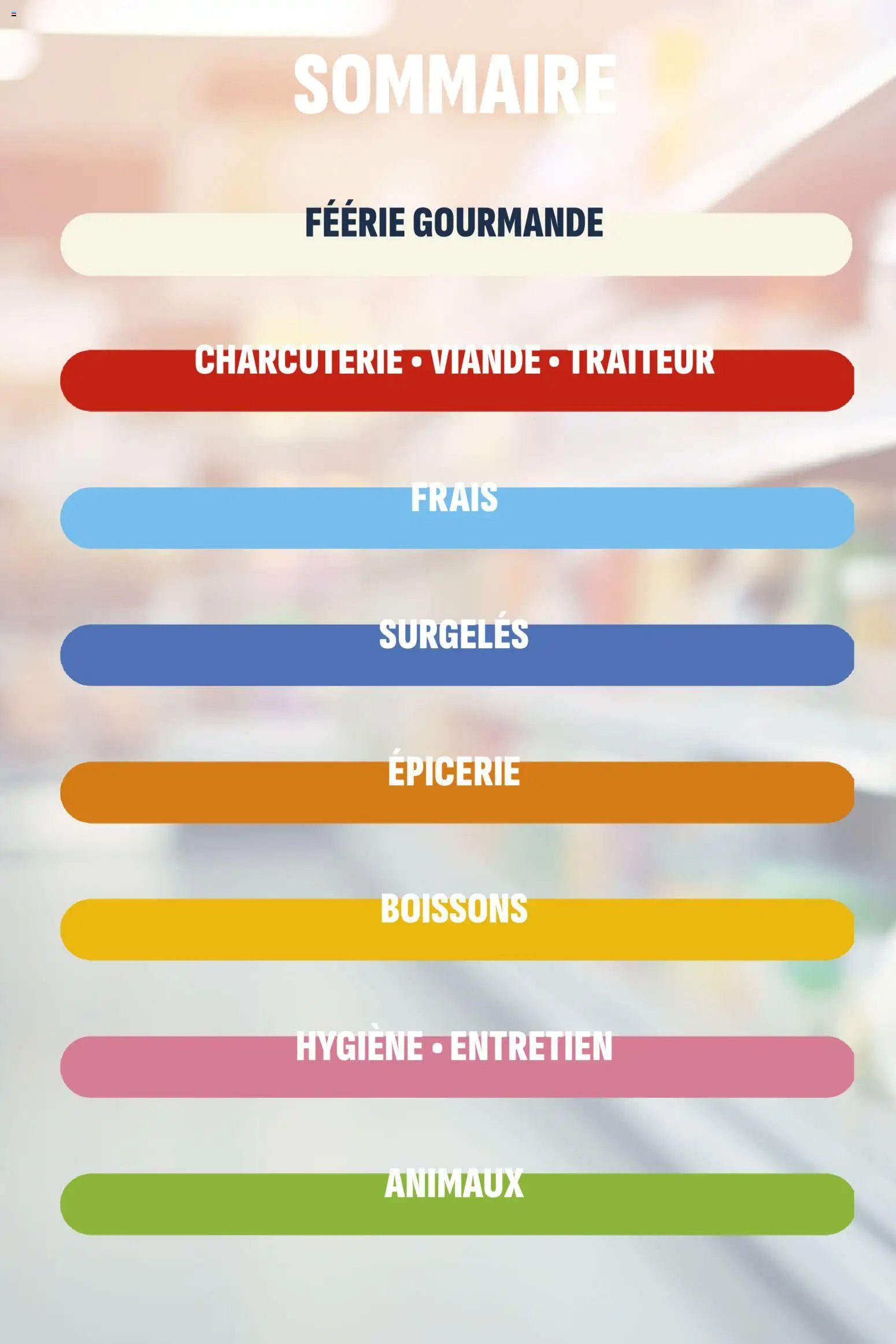 Coccinelle - Market (2025-12-03 - 2025-12-14)