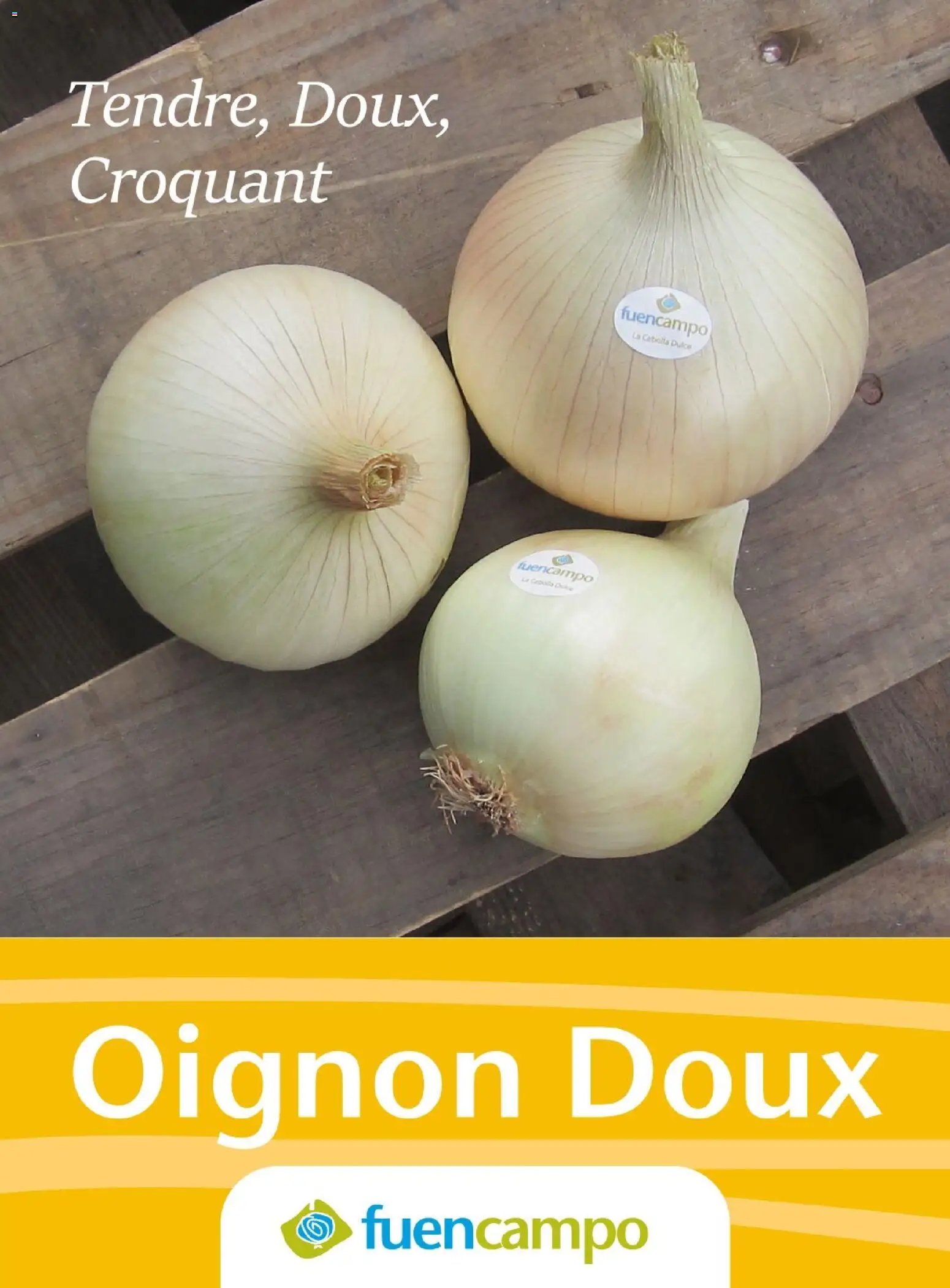 Costco Connection printemps 2026 (2026-03-19 - 2026-06-01)