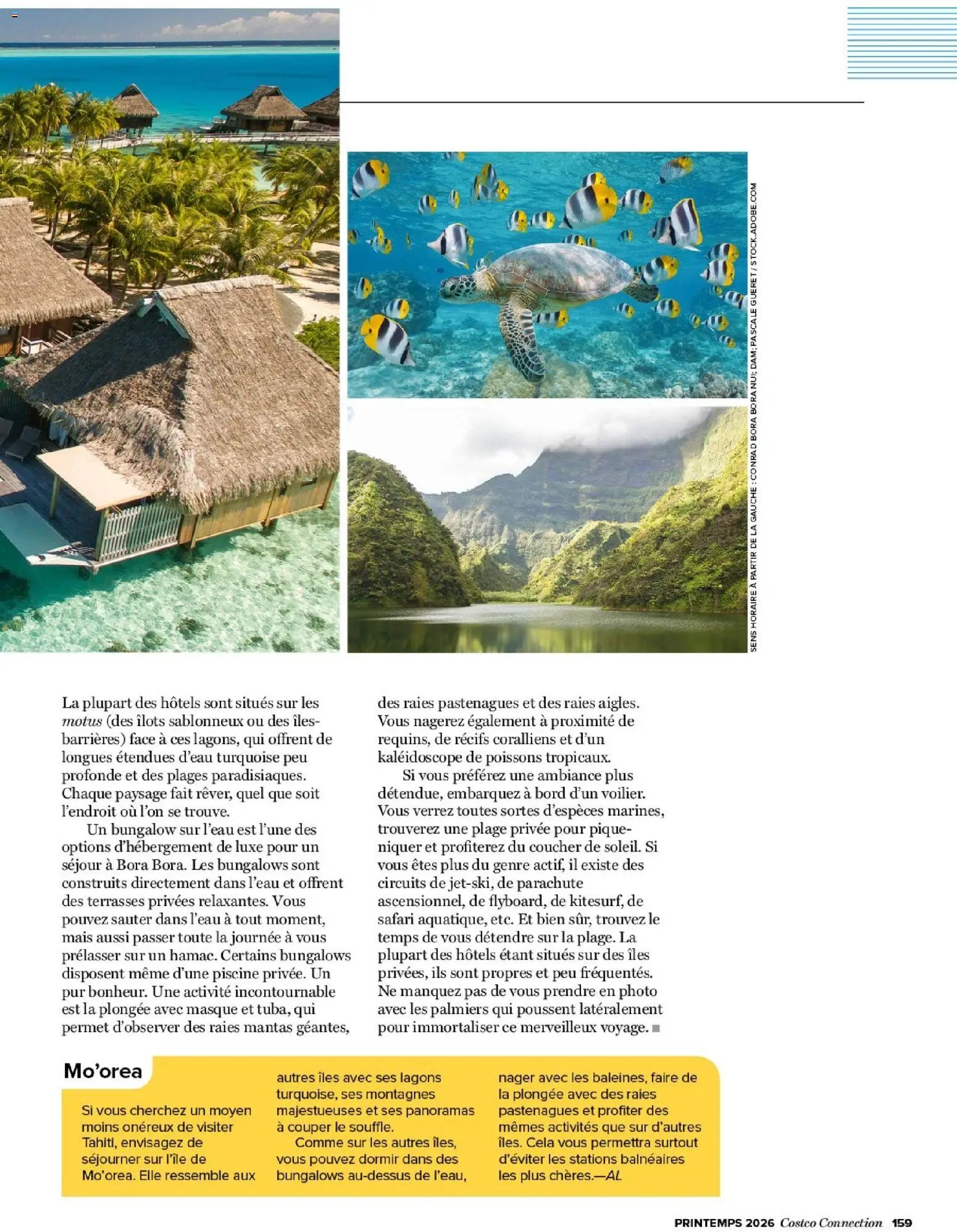 Costco Connection printemps 2026