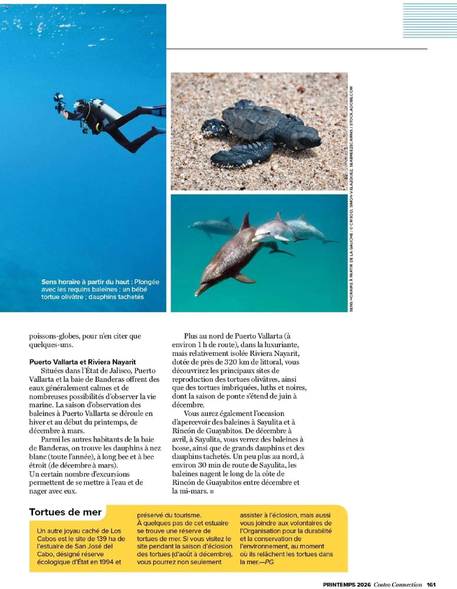 Costco Connection printemps 2026