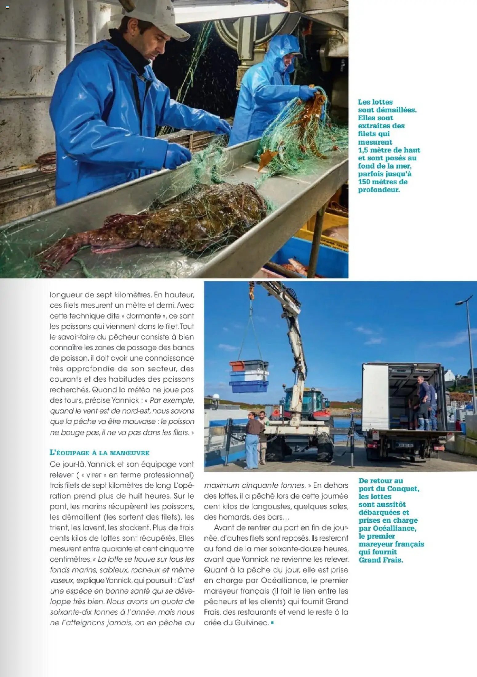 Grand Frais catalogue (2025-12-01 - 2026-02-17)