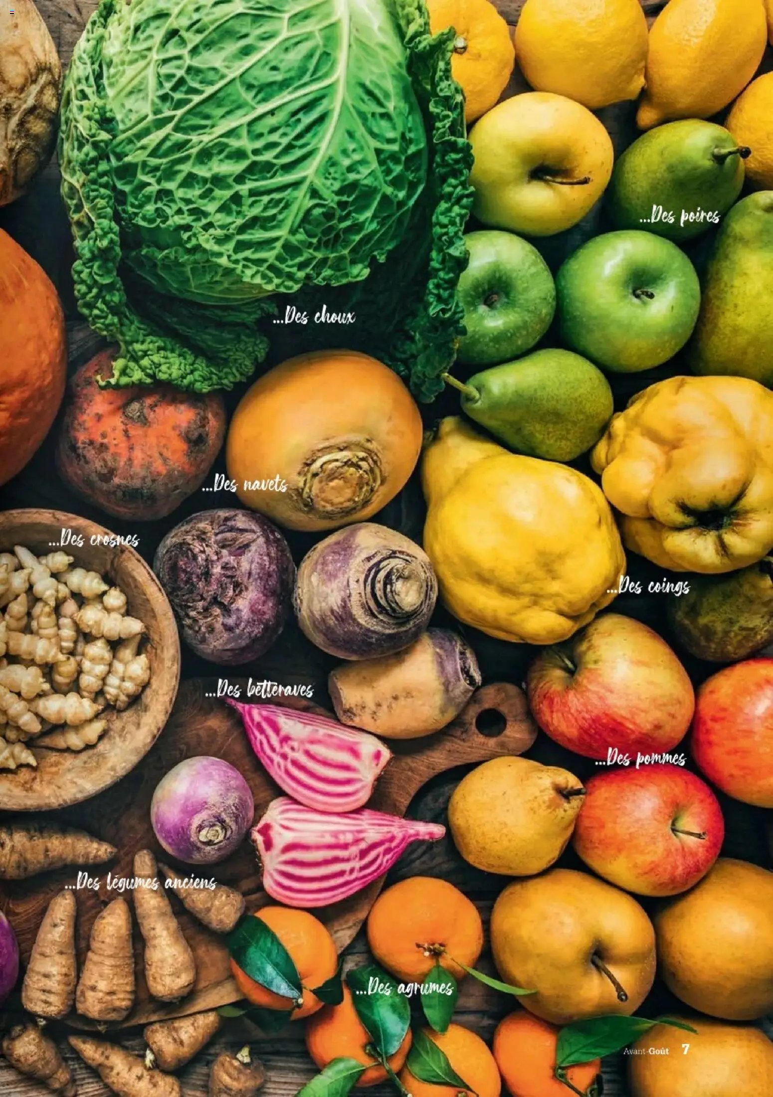 Grand Frais catalogue (2025-12-01 - 2026-02-17)