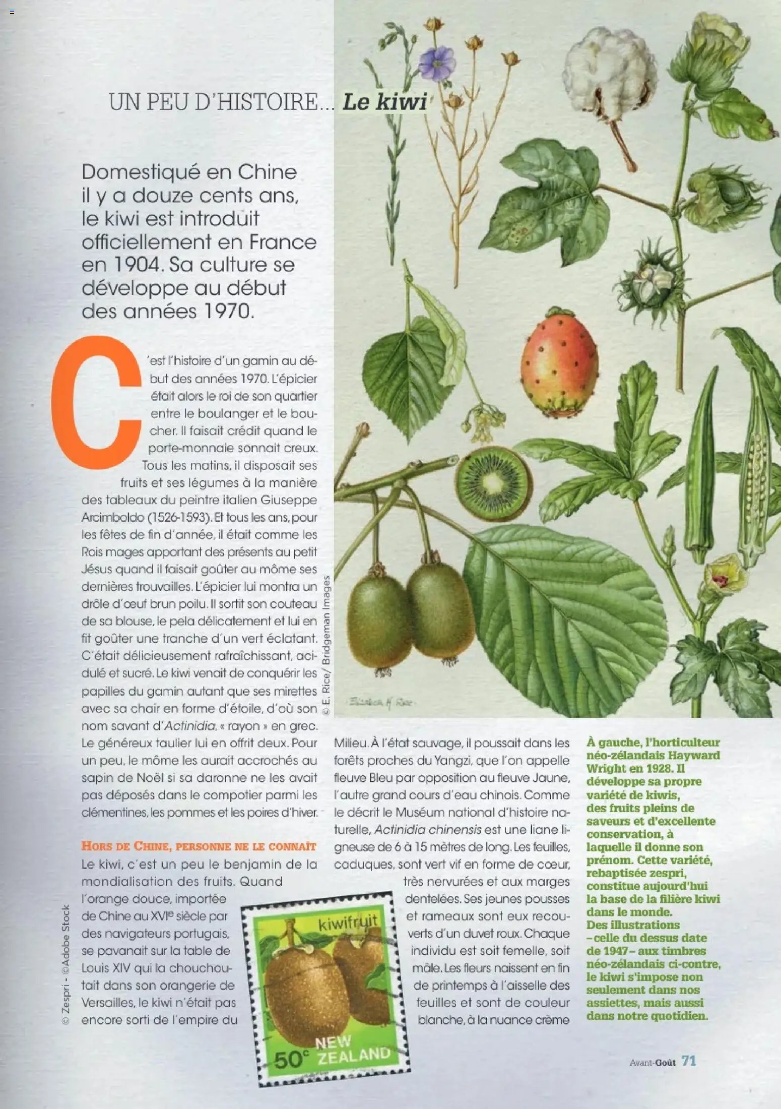 Grand Frais catalogue (2025-12-01 - 2026-02-17)