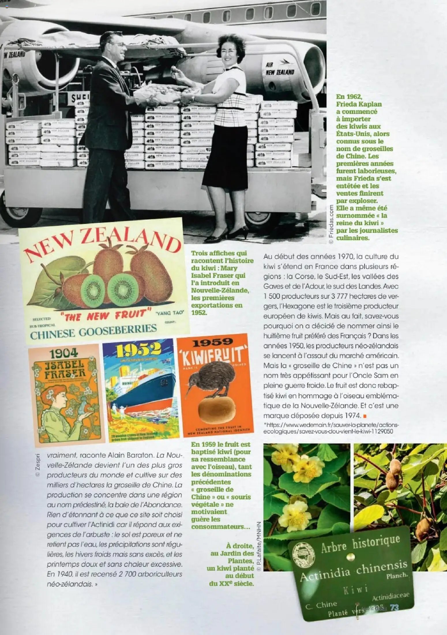 Grand Frais catalogue (2025-12-01 - 2026-02-17)