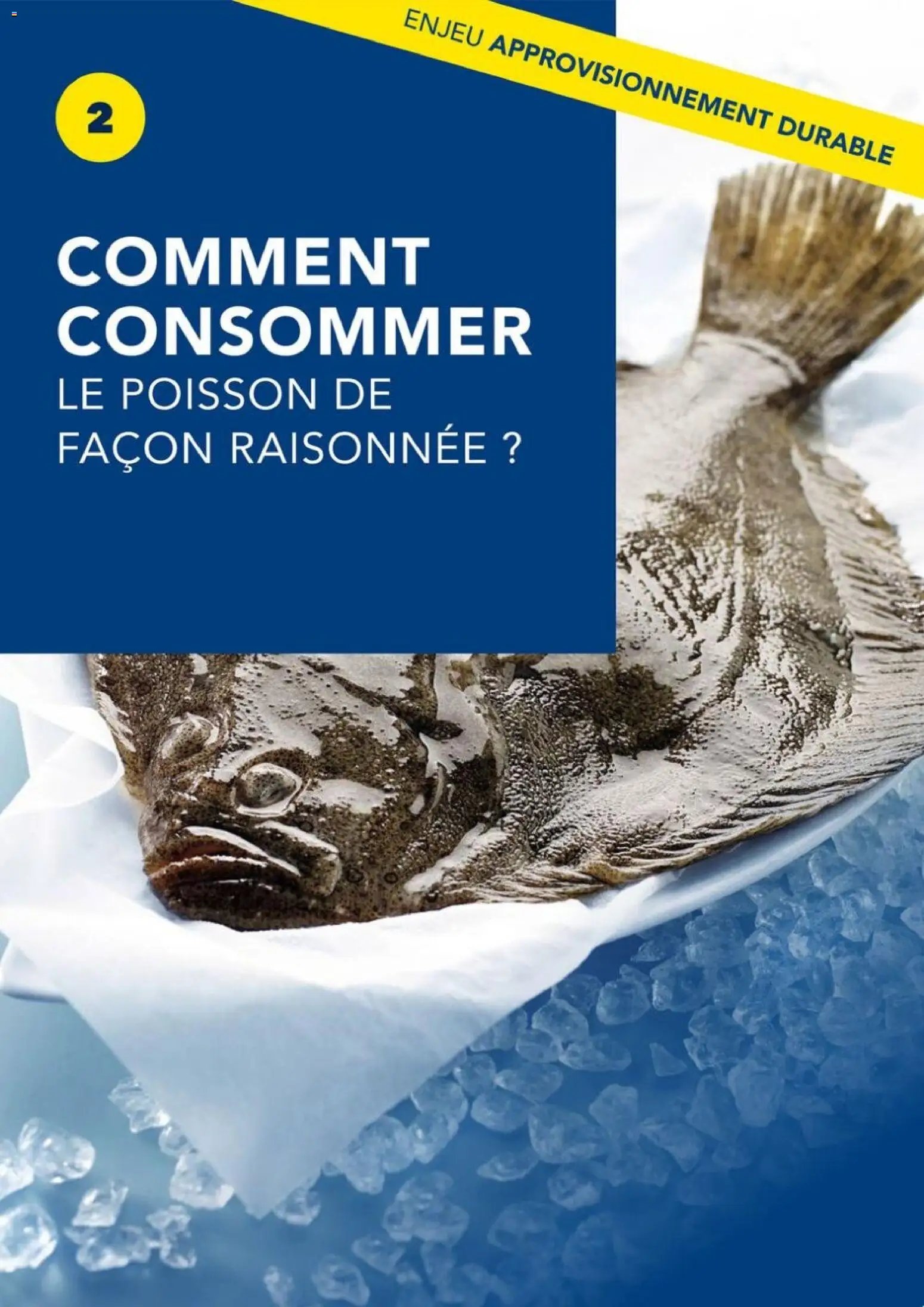 METRO - La maree de demain (2025-09-01 - 2026-06-30)