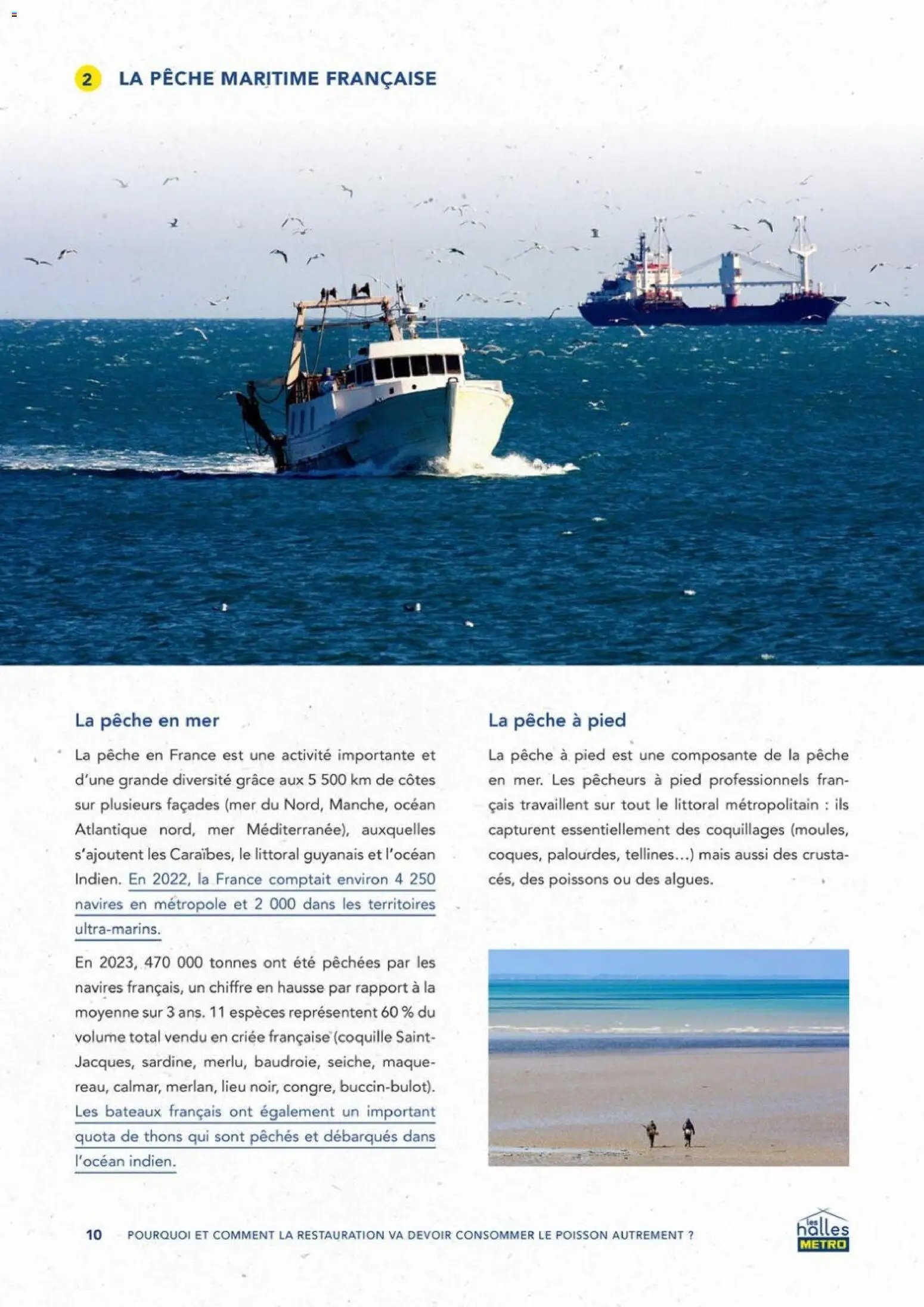 METRO - La maree de demain (2025-09-01 - 2026-06-30)