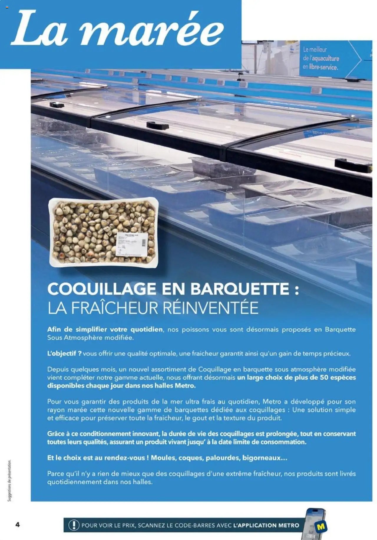 METRO - Tendances Nouveautés (2025-10-02 - 2025-12-31)