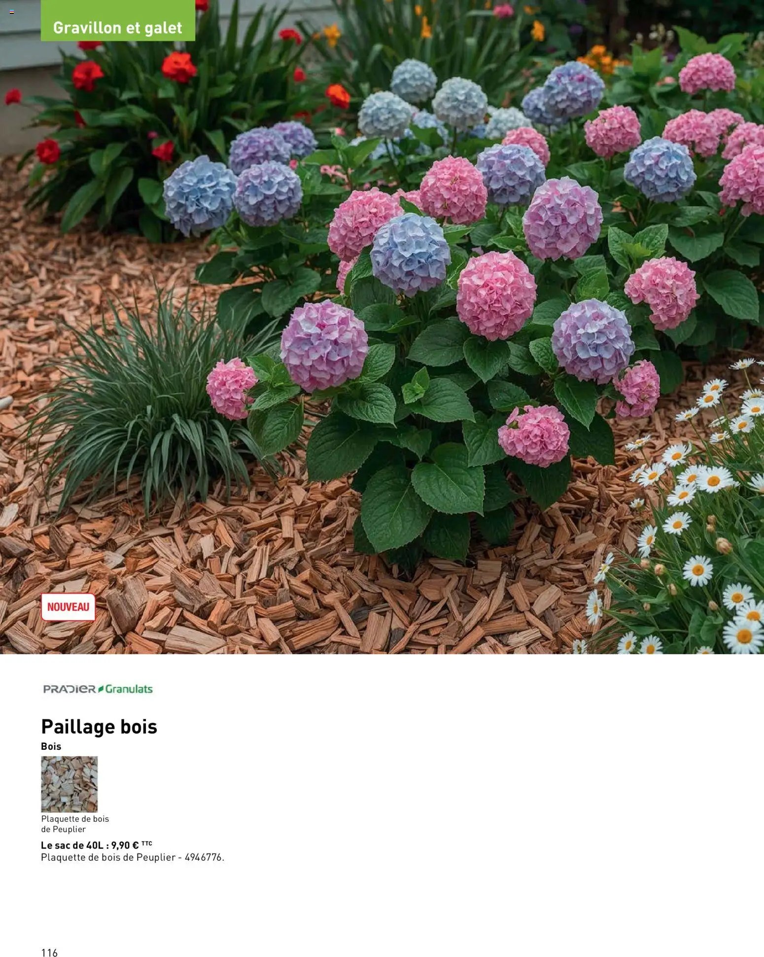 Point.P catalogue (2026-04-17 - 2026-12-31)