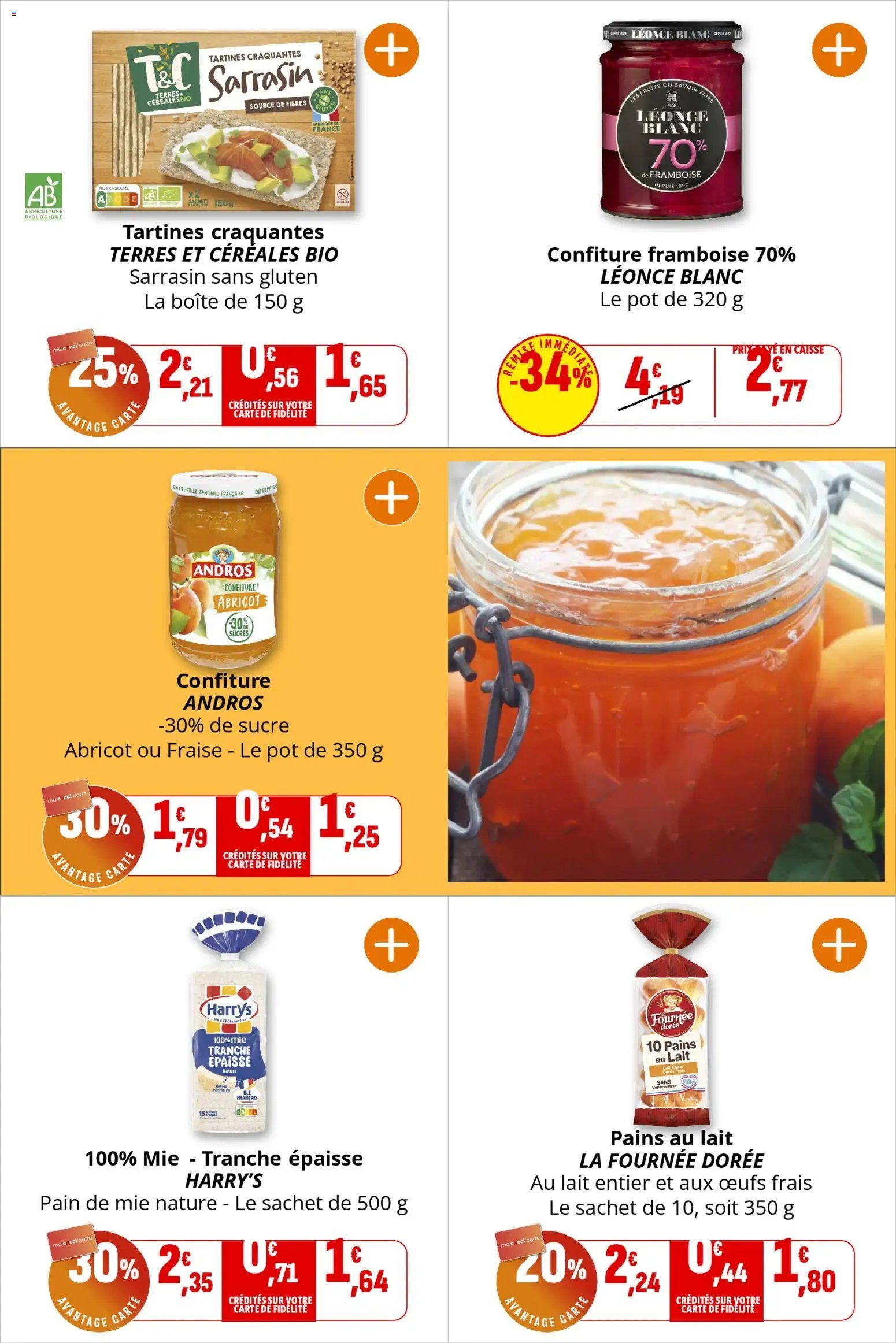 Coccinelle catalogue