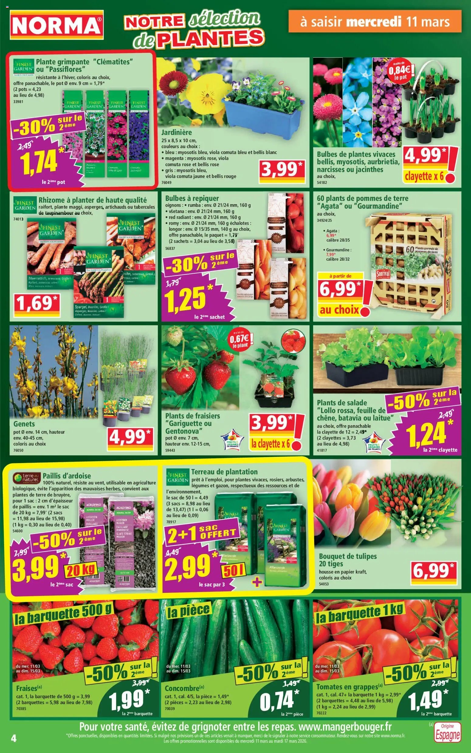 Norma catalogue (2026-03-11 - 2026-03-17)