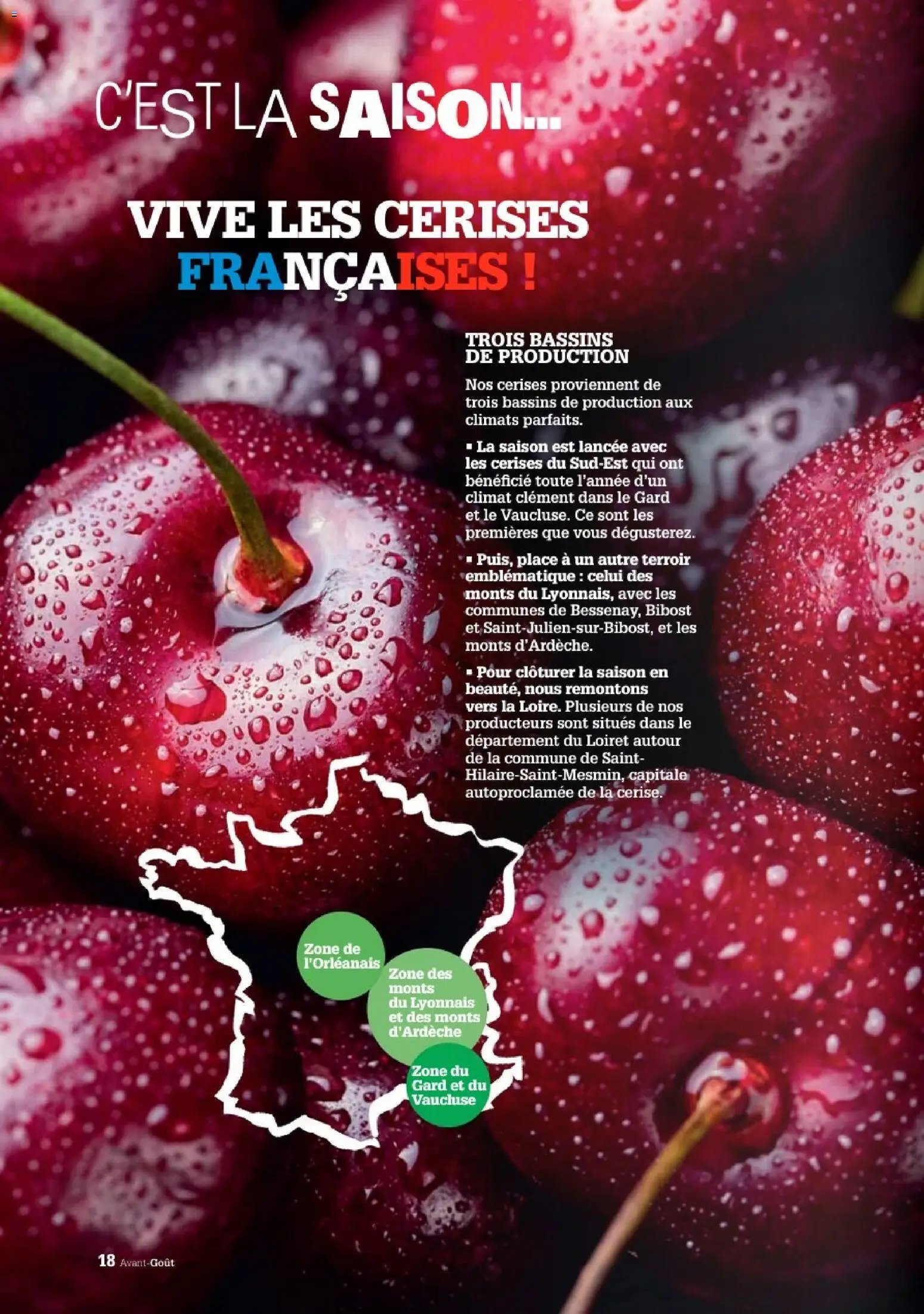 Grand Frais catalogue