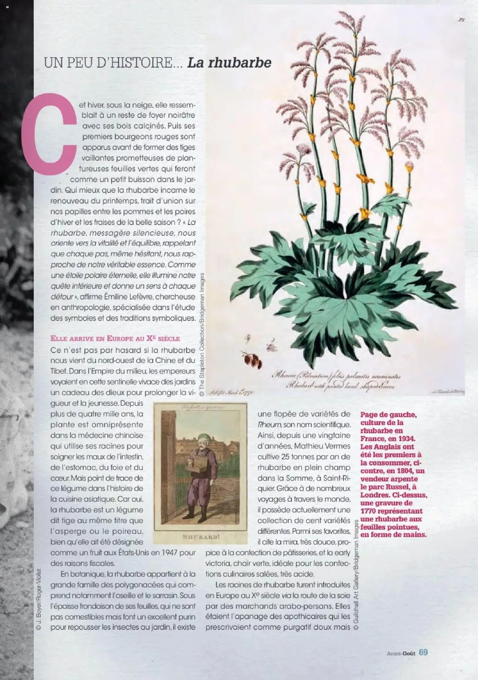 Grand Frais catalogue