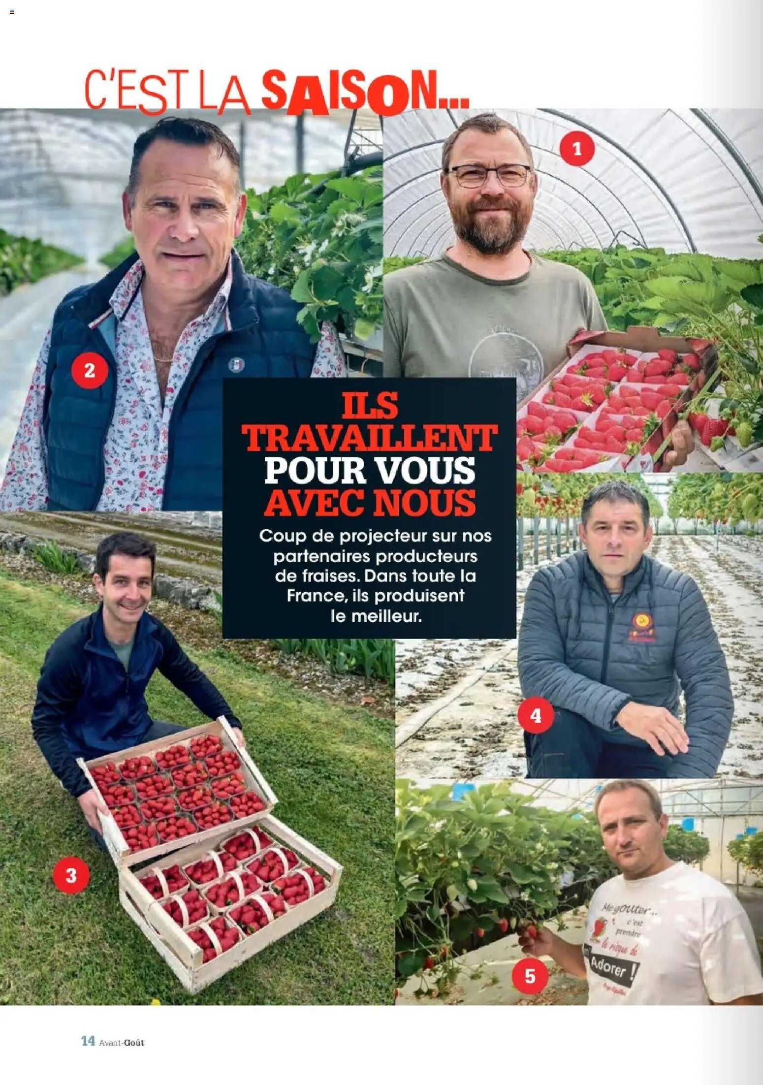 Grand Frais catalogue