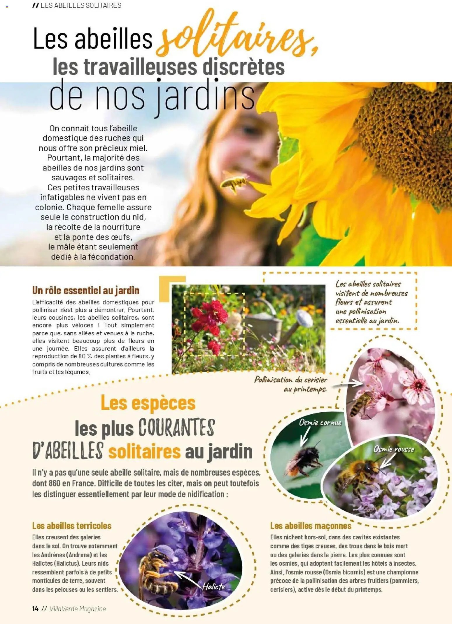 VillaVerde catalogue