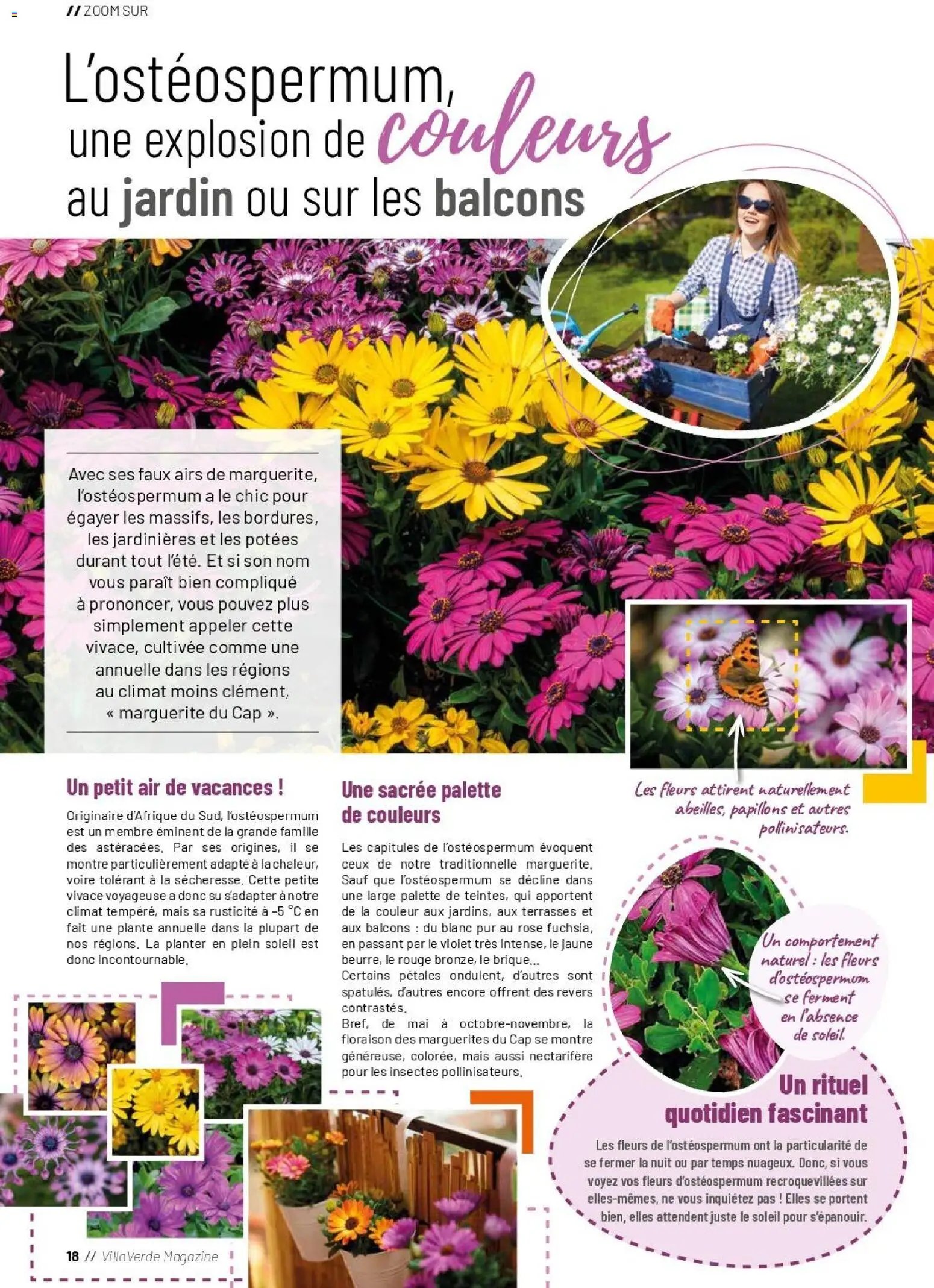 VillaVerde catalogue