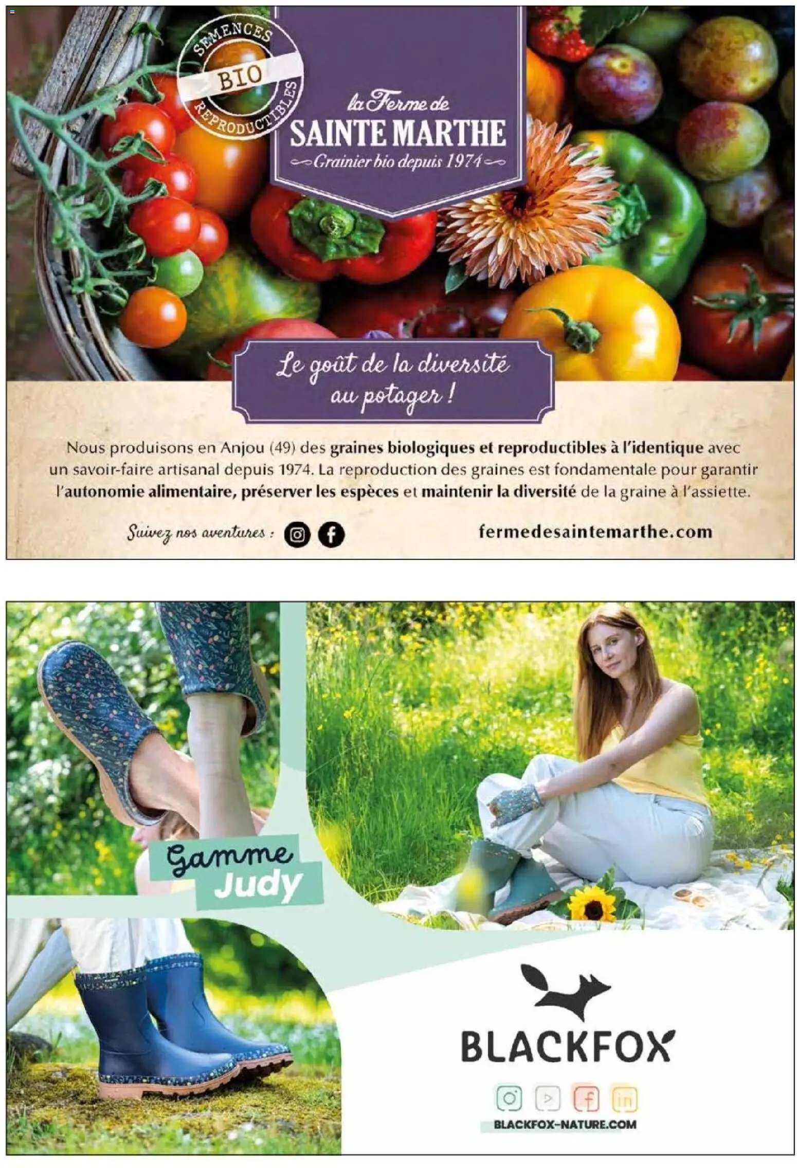 VillaVerde catalogue