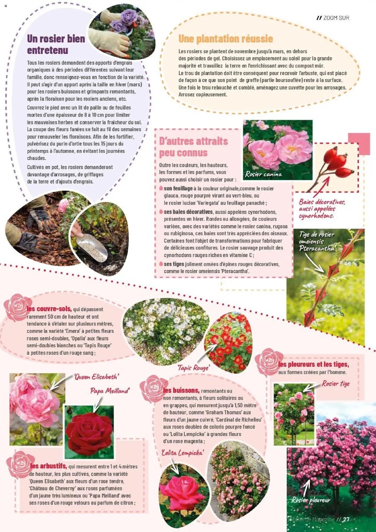 VillaVerde catalogue