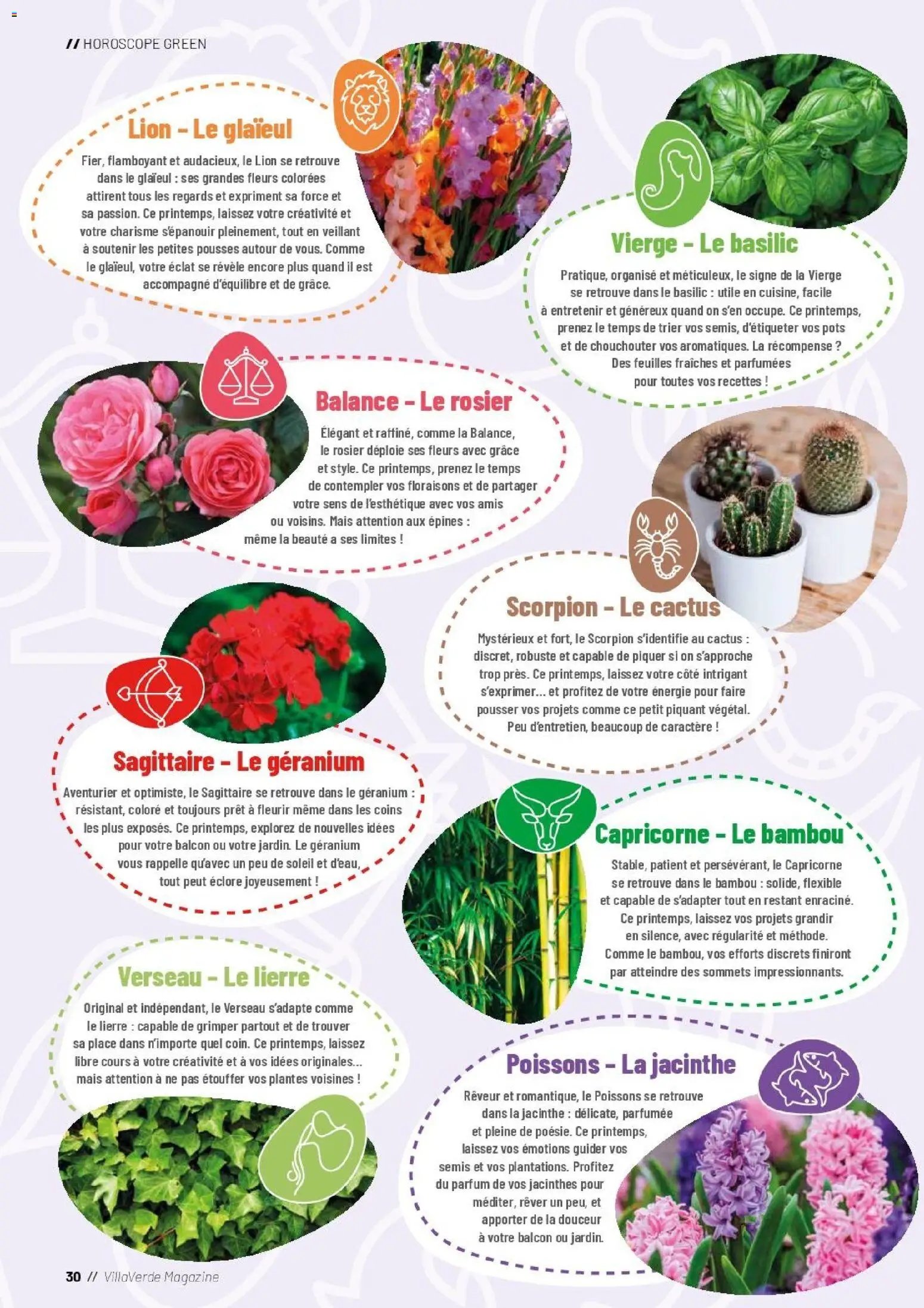 VillaVerde catalogue