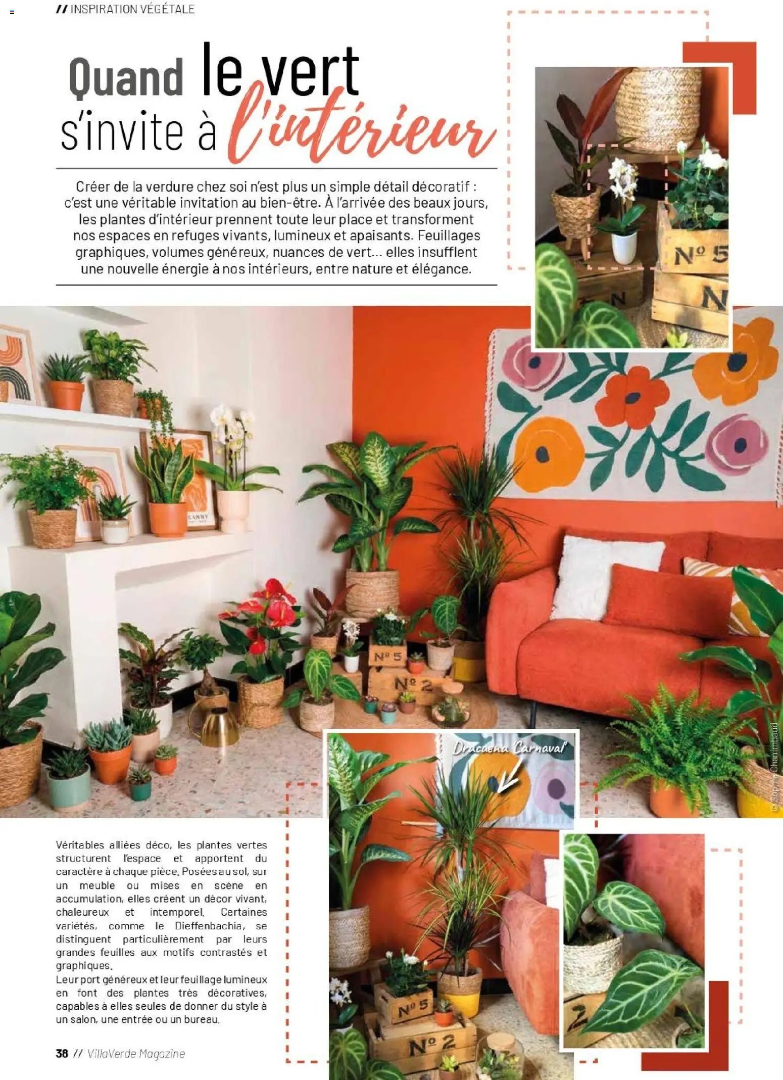 VillaVerde catalogue