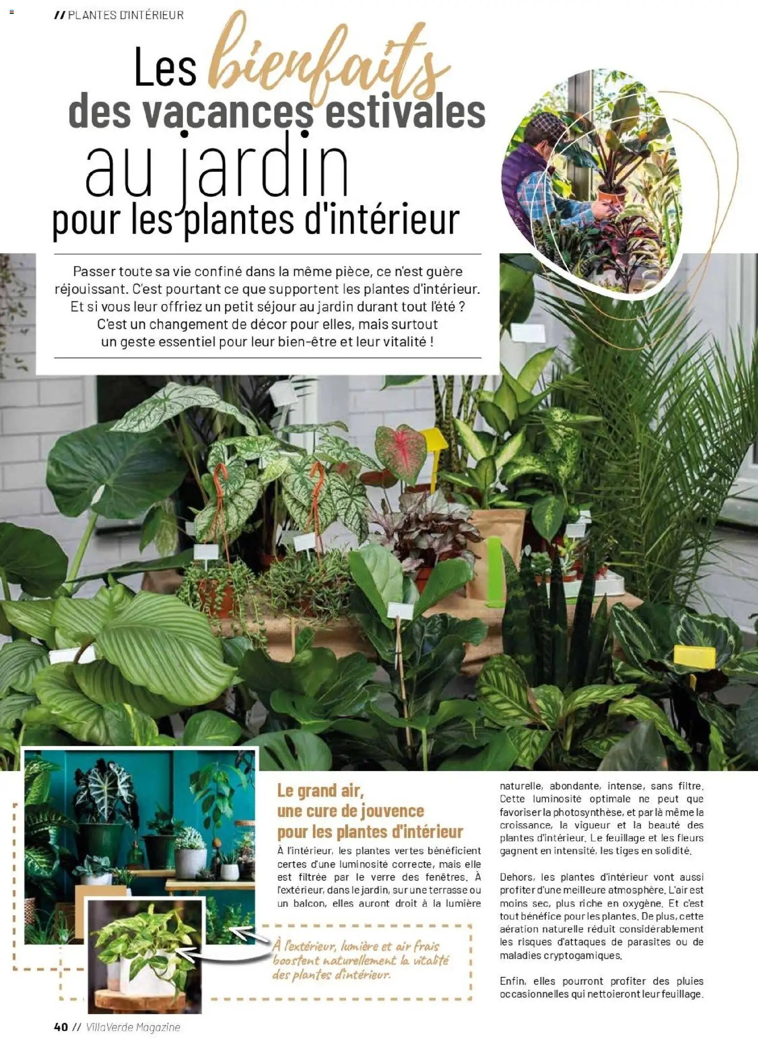 VillaVerde catalogue