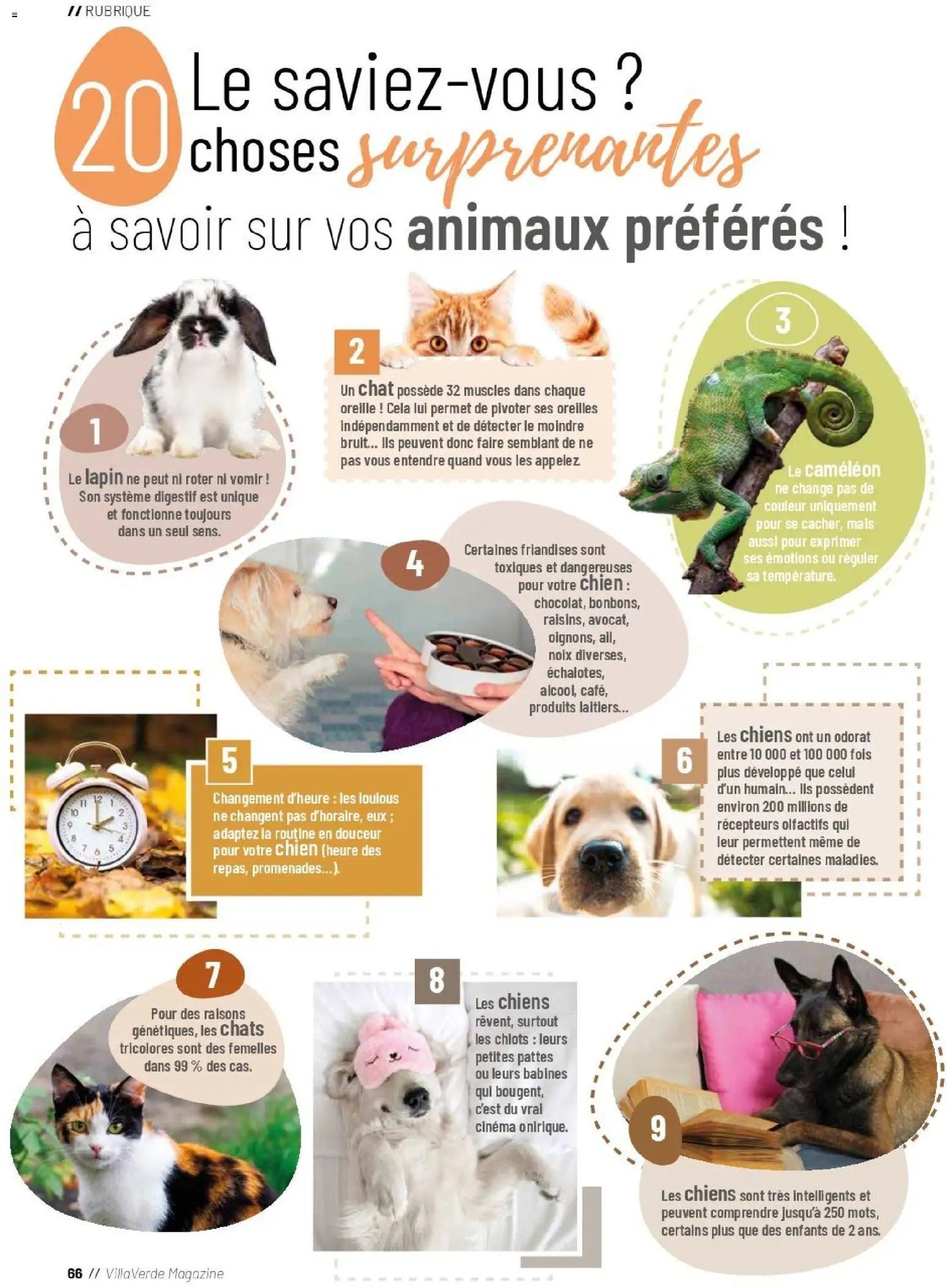 VillaVerde catalogue