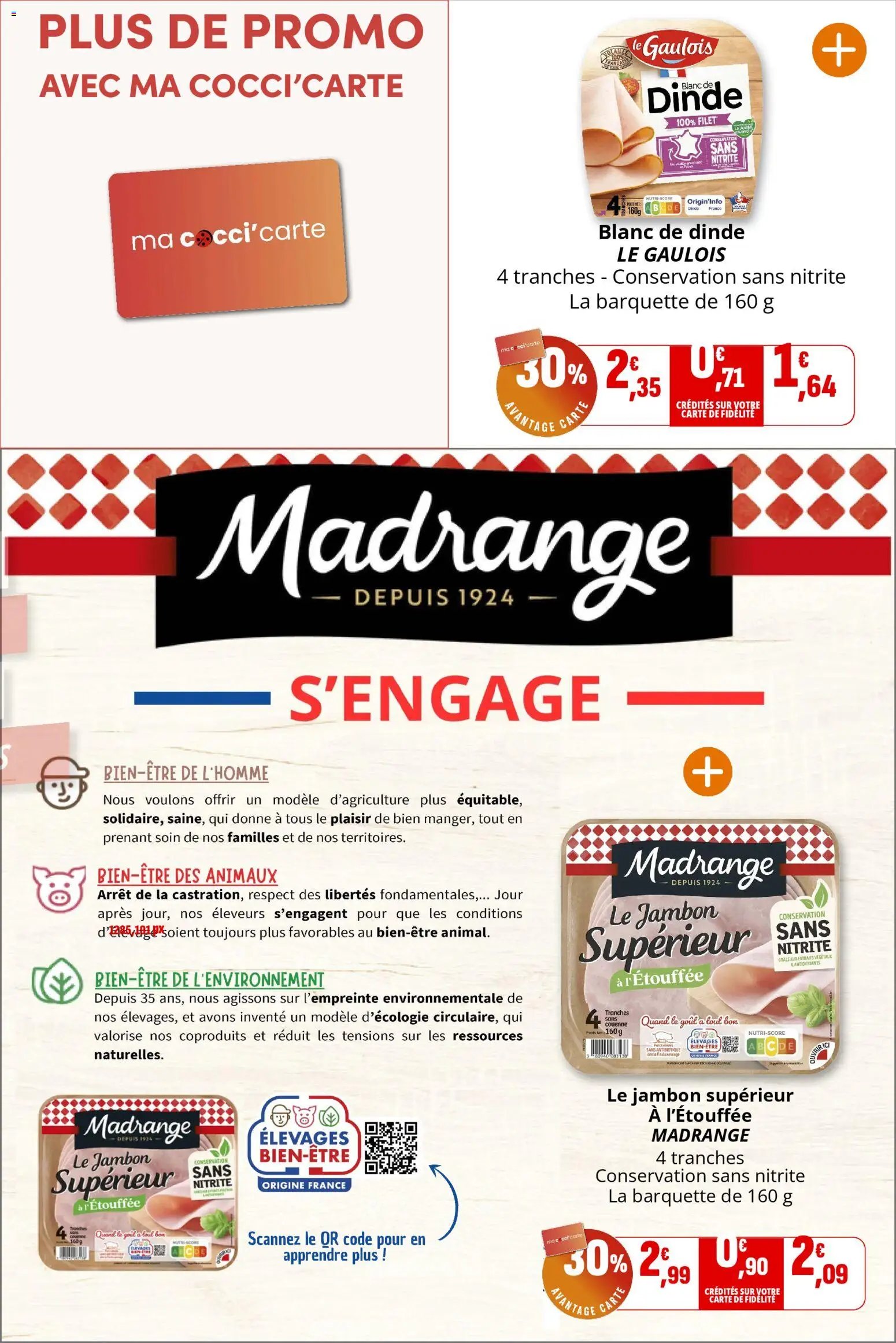 Coccinelle - Express