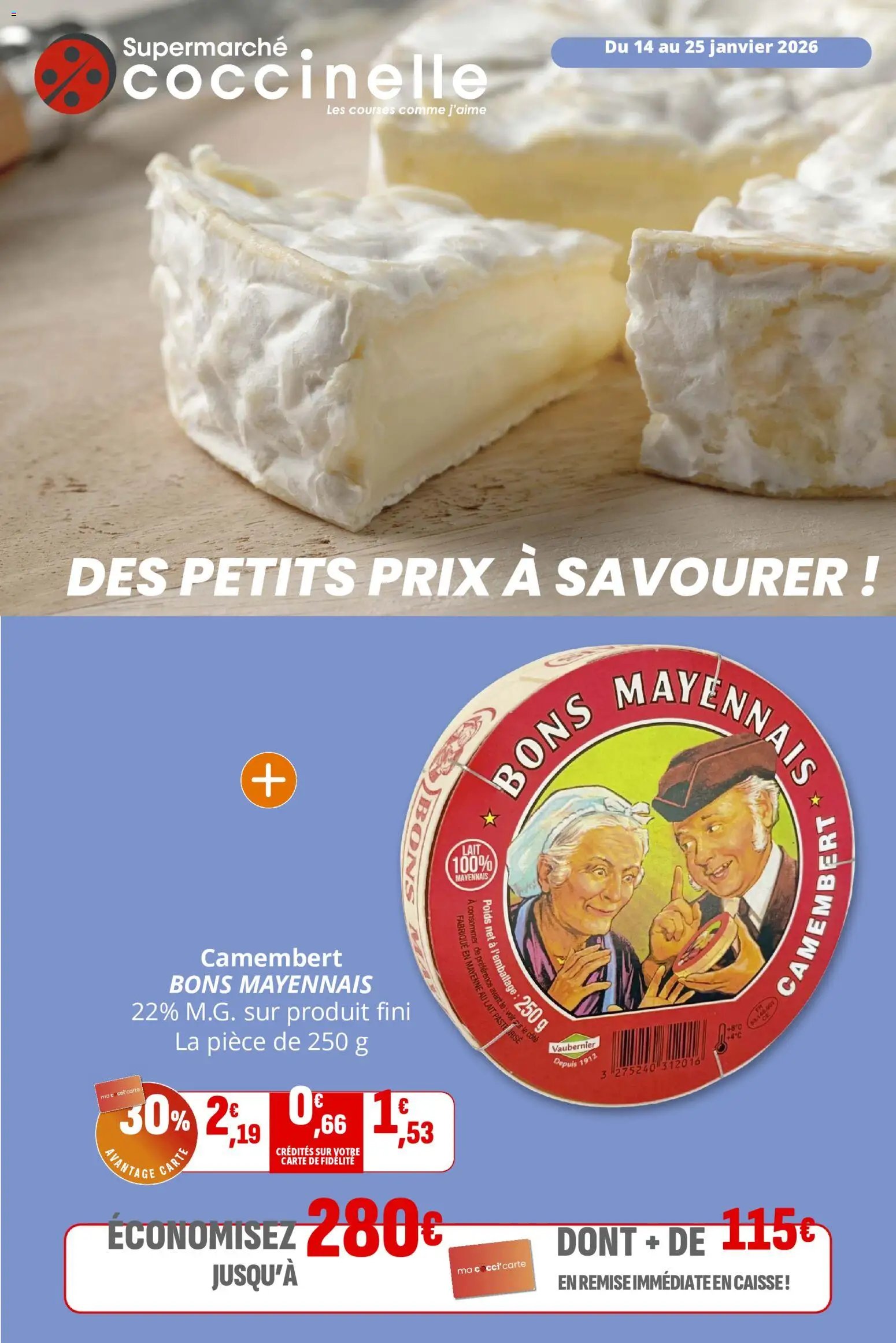 Coccinelle catalogue