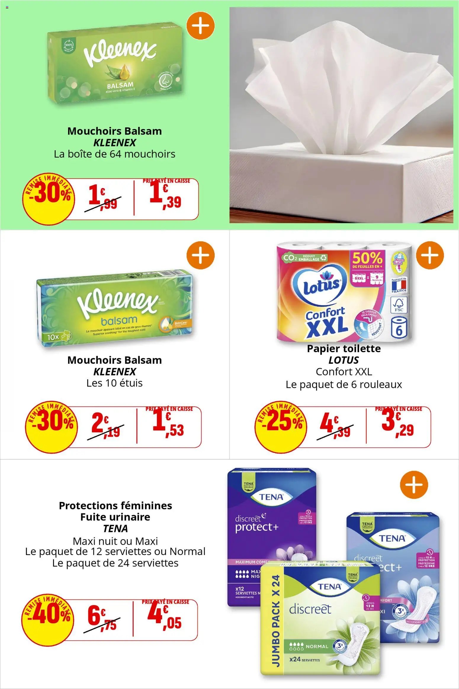 Coccinelle catalogue